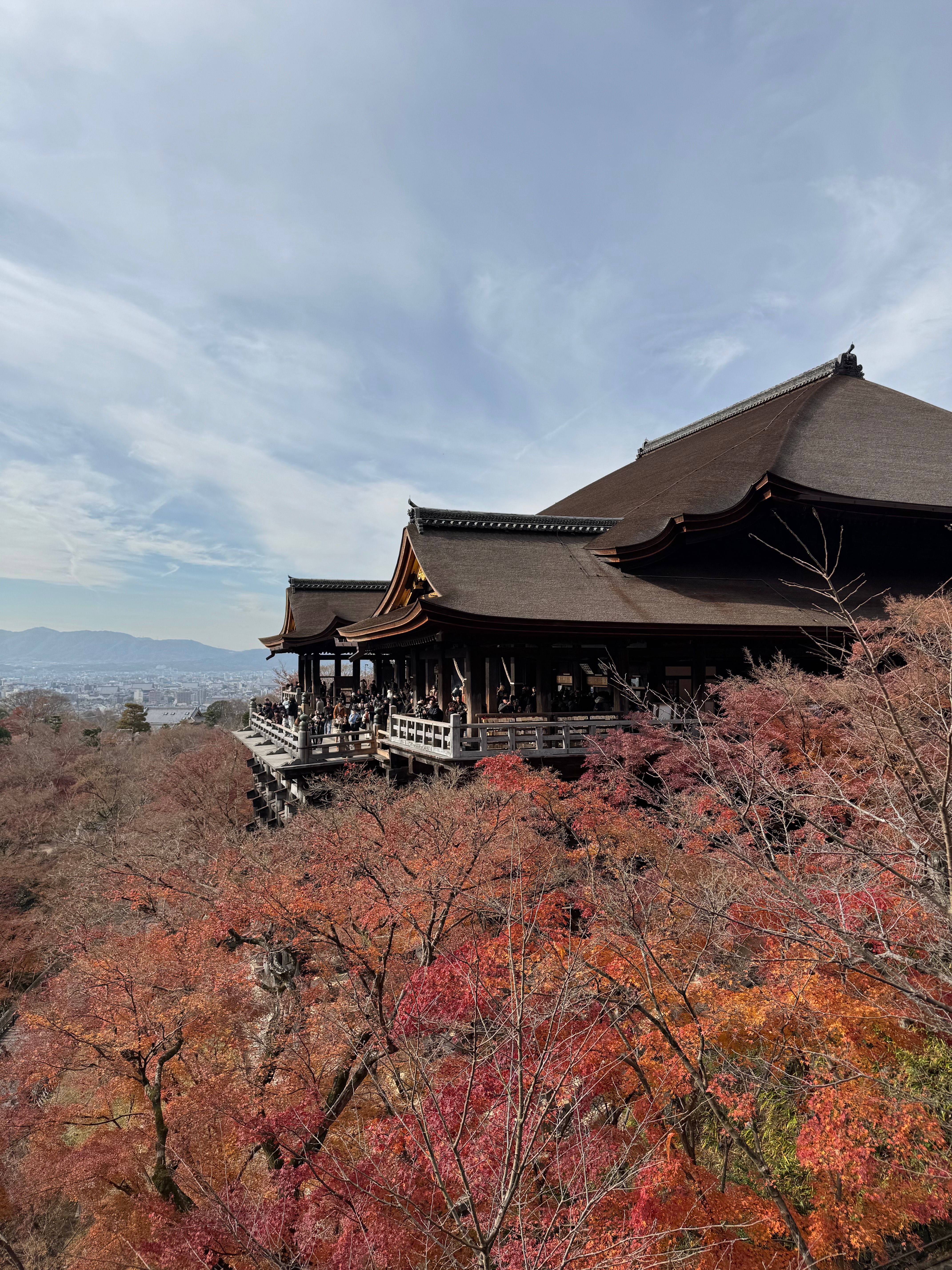 Kiyomizu-dera temple in Kyoto surrounded by red autumn maple foliage