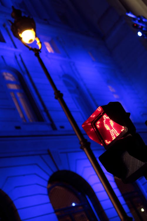 Photos gratuites de néons, nuit en ville