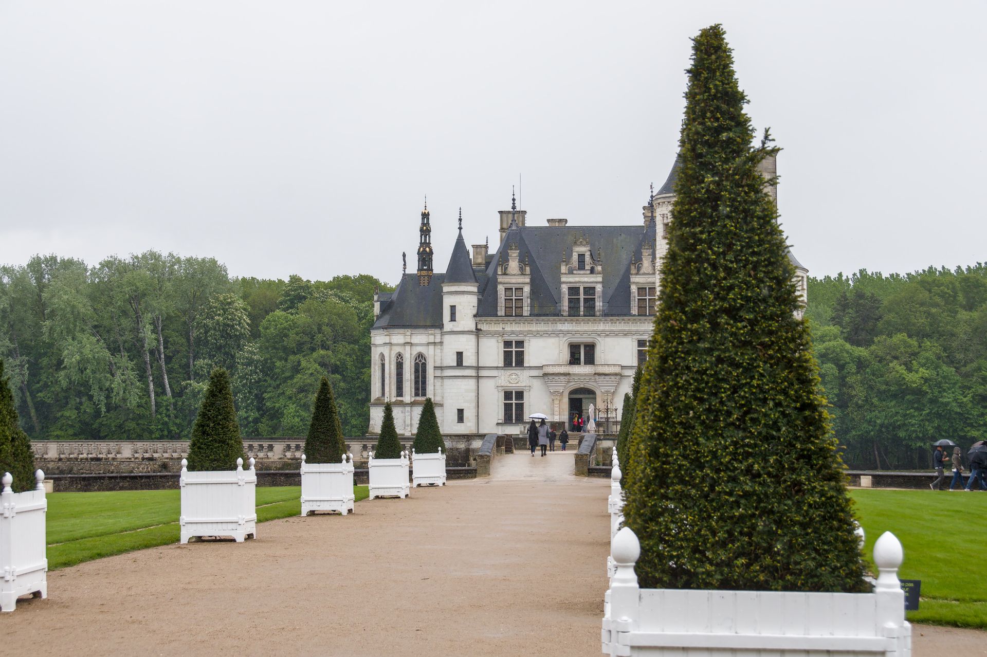 View of Château de Chenonceau with lush greenery and lined path on a cloudy day, perfect for history enthusiasts.