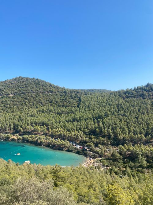 Free A tranquil view of a lush green forest surrounding a vibrant blue lake under a clear sky. Stock Photo