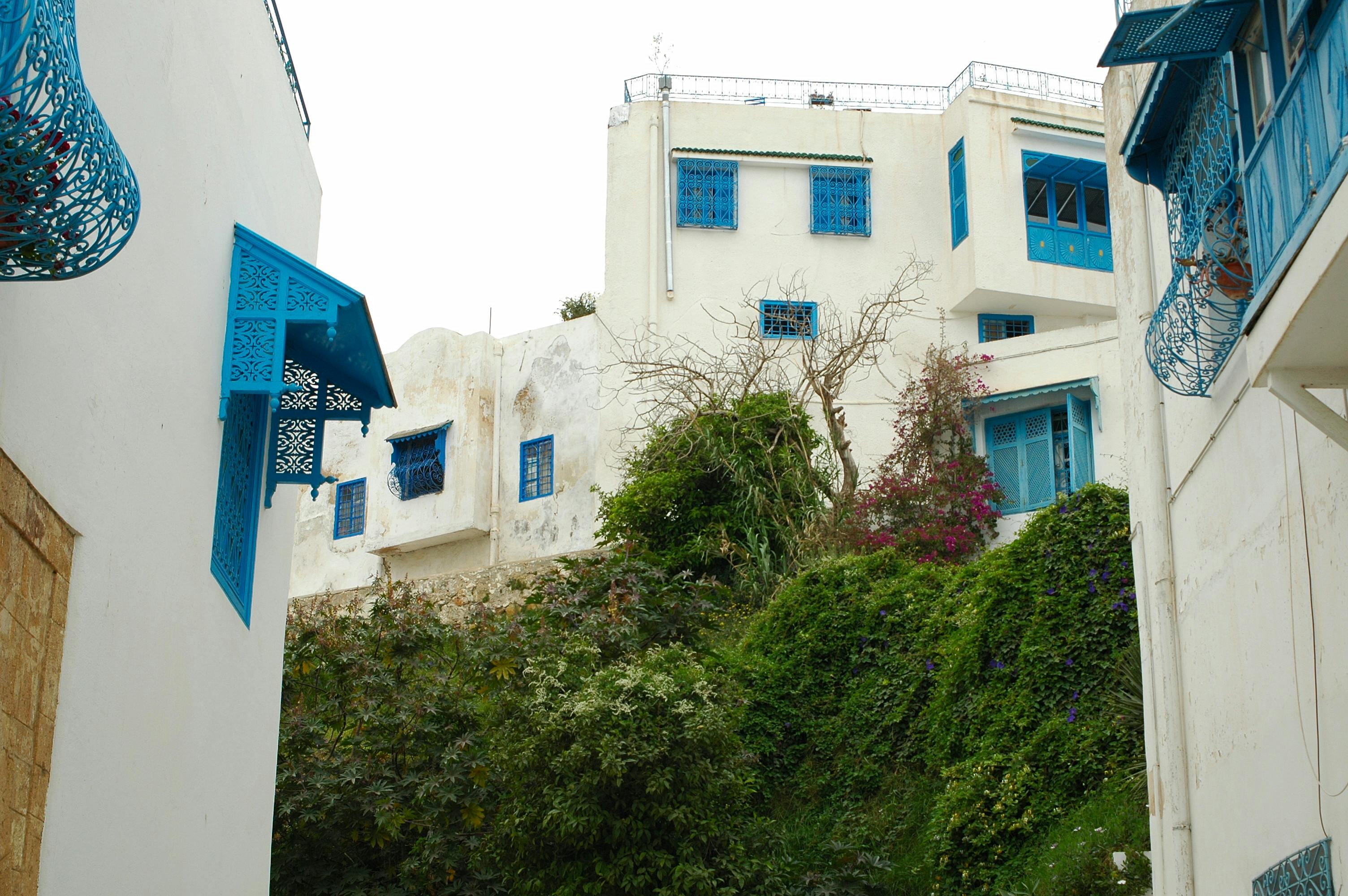 Sidi Bou Said