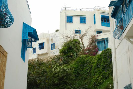 Sidi Bou Said village walk — Tunis