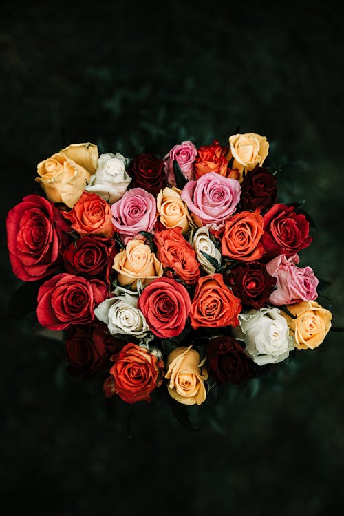 Assorted Color Of Bouquet Of Flowers