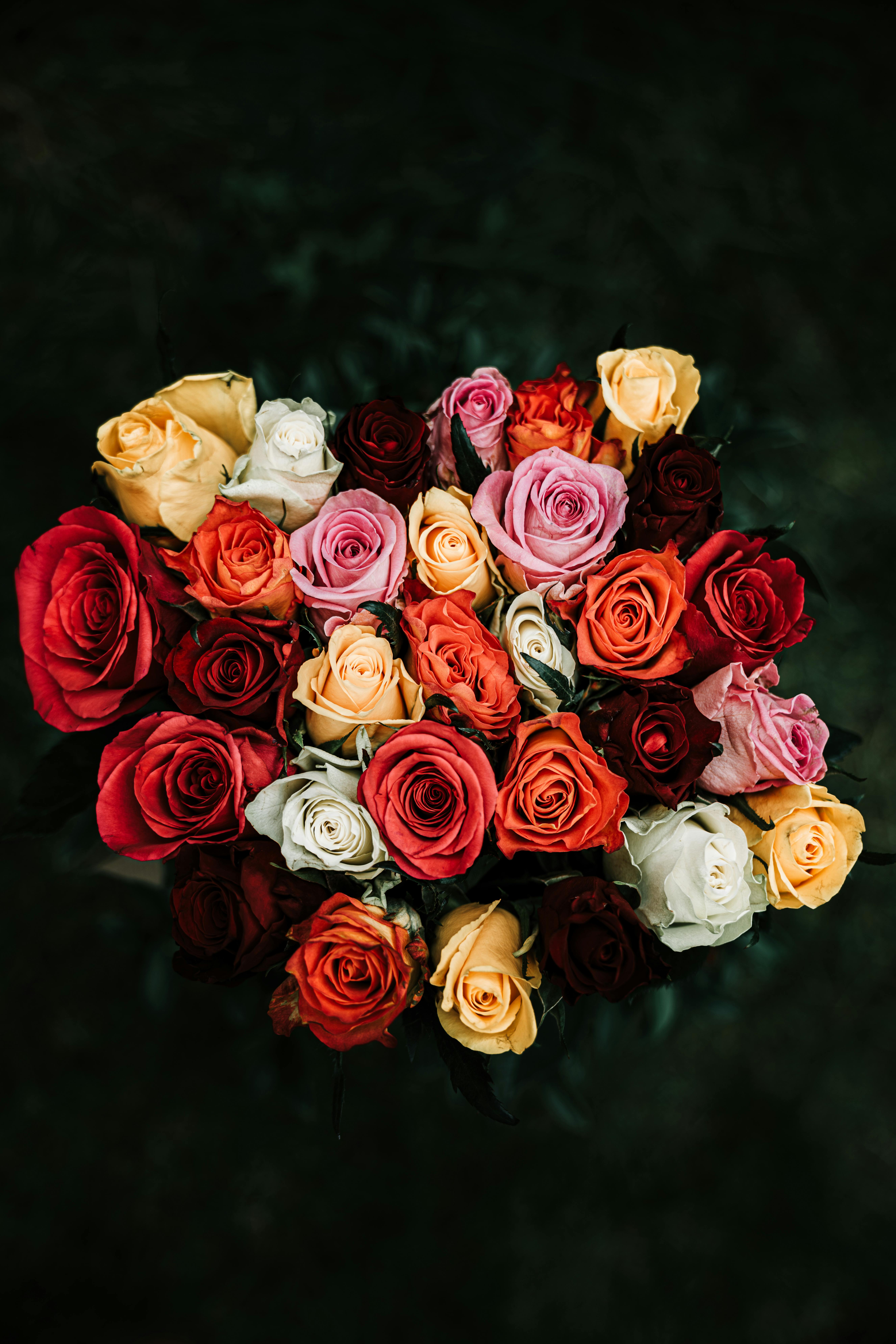Bouquet Of Flowers Photos, Download The BEST Free Bouquet Of Flowers Stock  Photos & HD Images