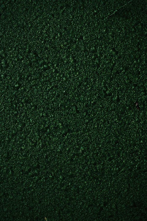 solid dark green wallpaper