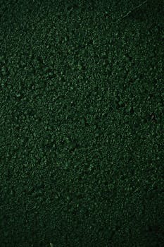 特写深绿色纹理表面，非常适合作为背景