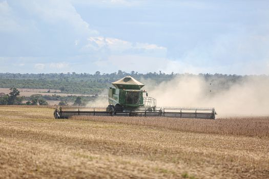 agricoltura
