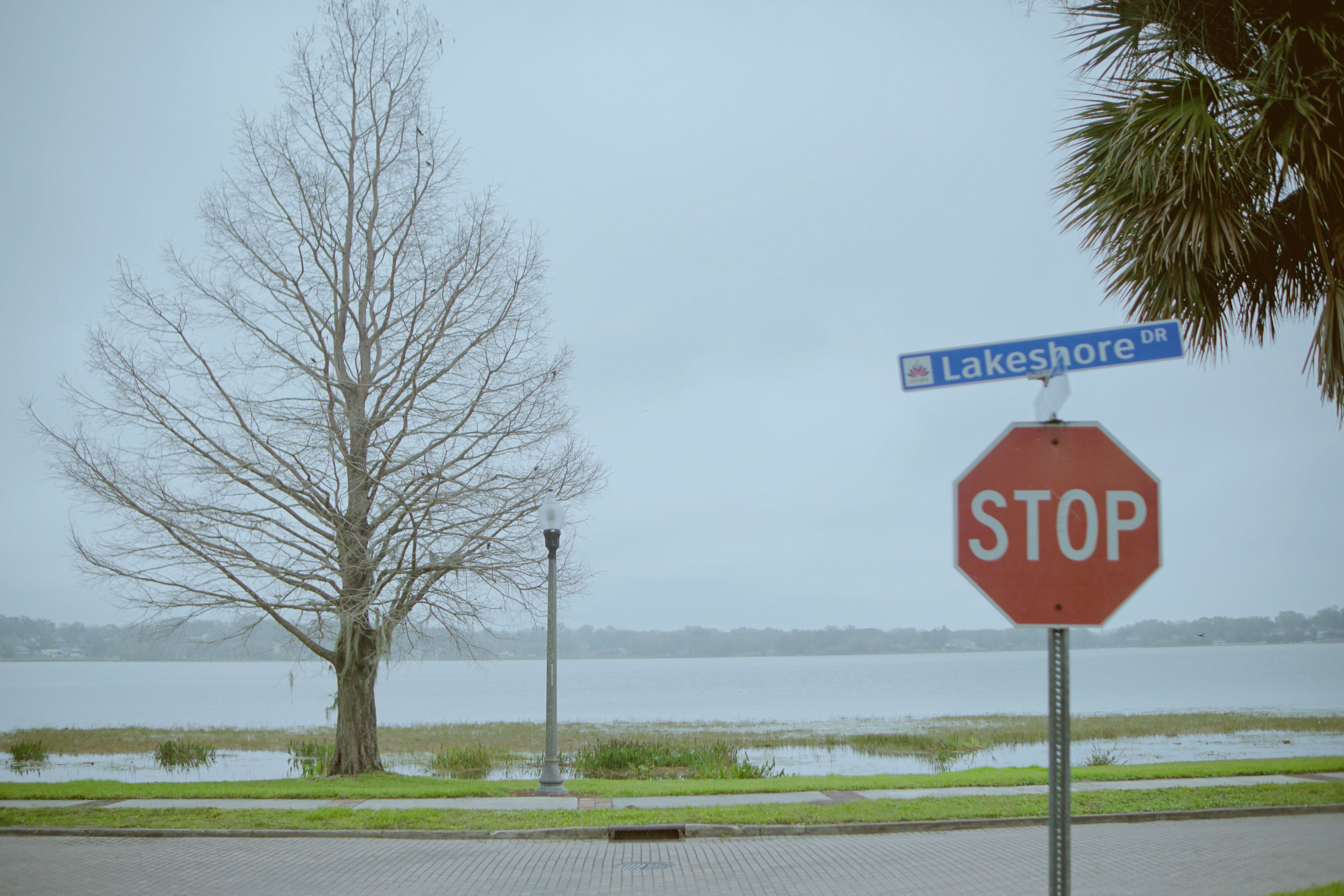 Lakeland Regional Health to postpone elective surgeries with overnight stays — Photo by Jeff S. on Pexels