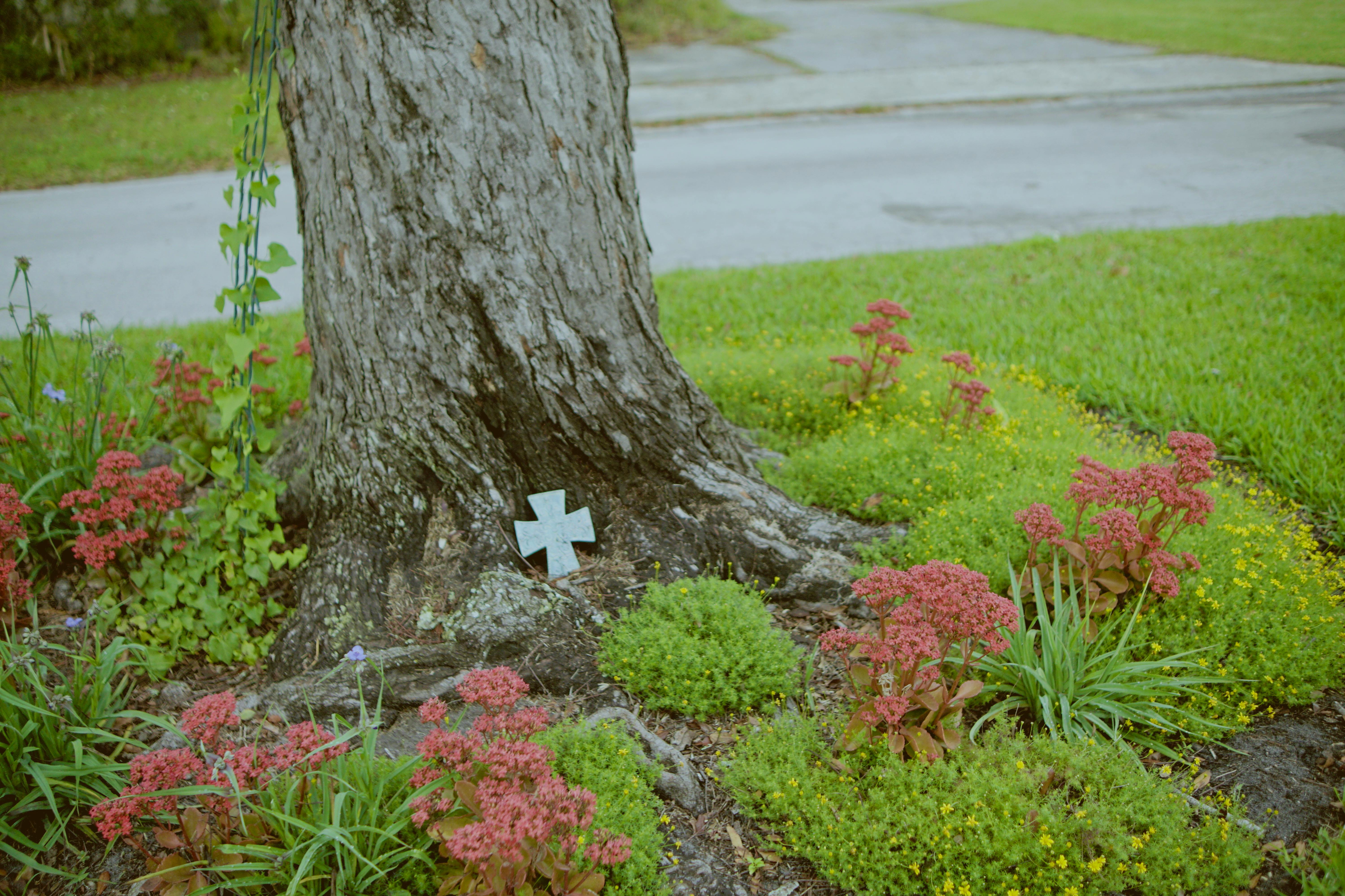 A serene scene of a tree with a cross and vibrant flowers in a garden.