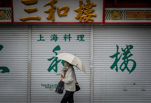 A woman with an umbrella and small dog walks by a closed shop in Chinatown.