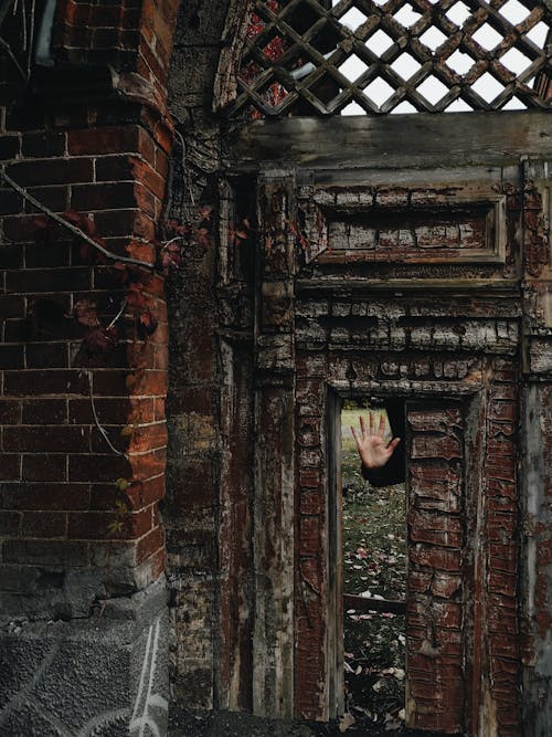 Wooden Door Beside Brick Wall