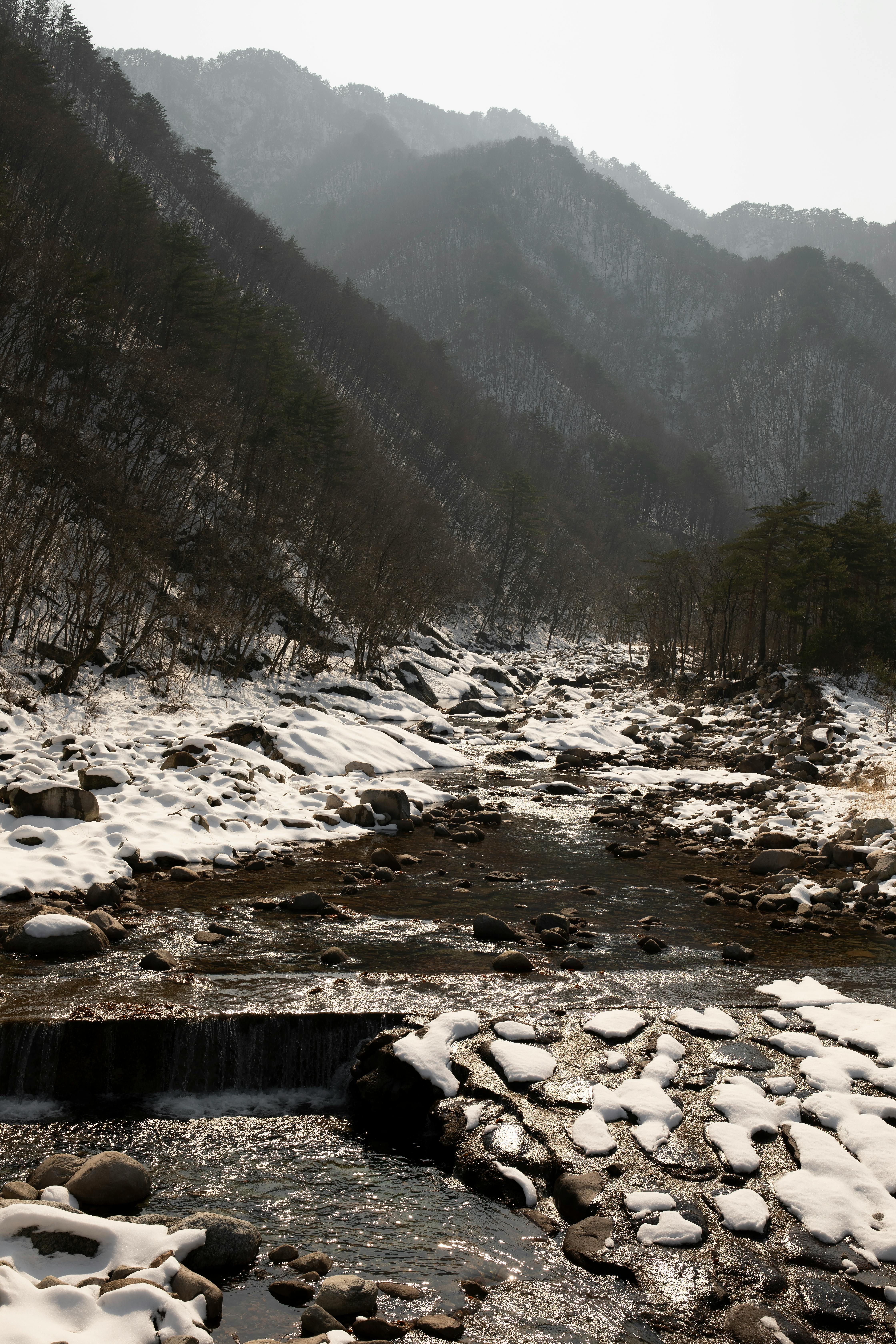 부산의 겨울 풍경