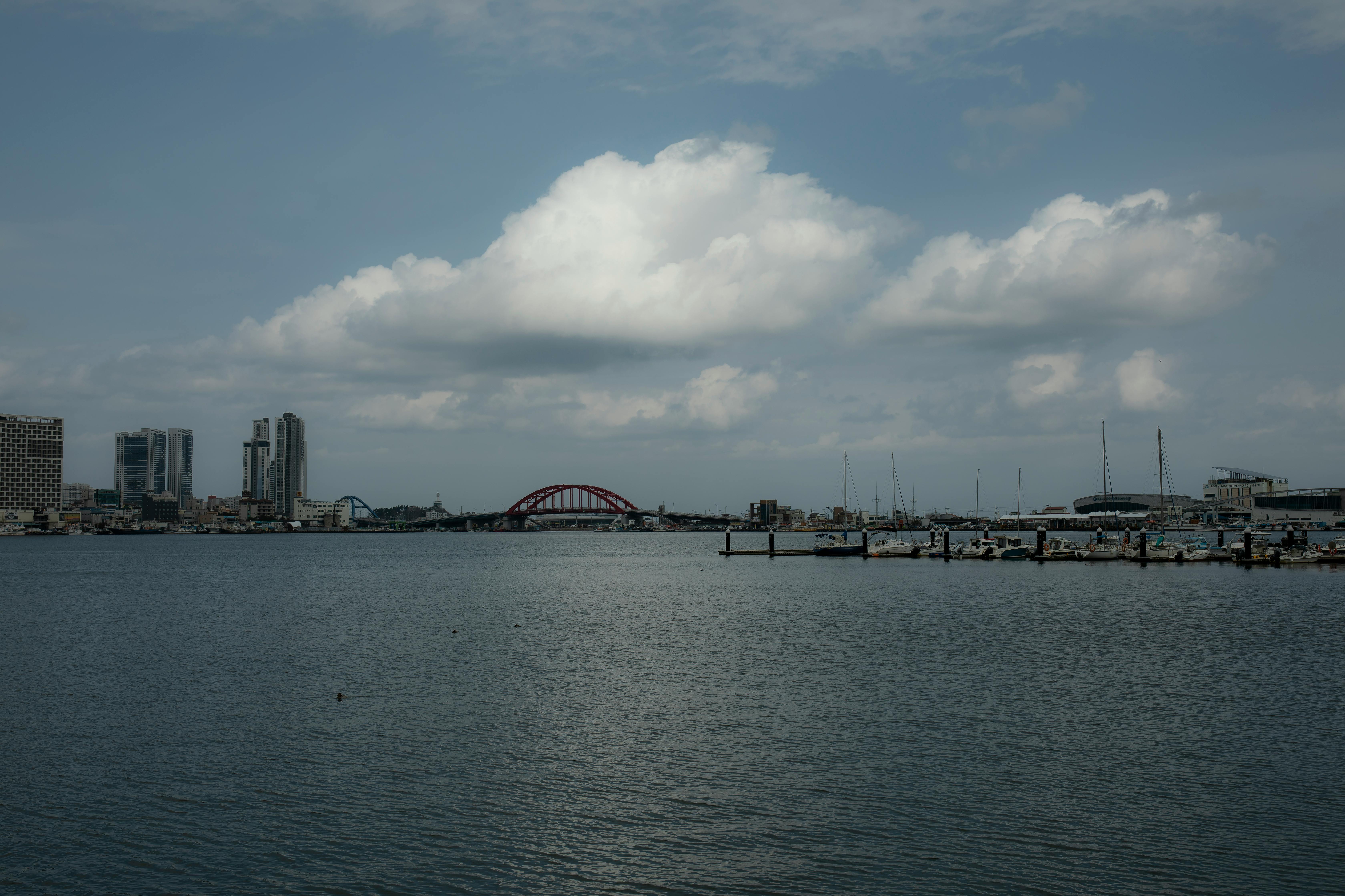 Serene view of a harbor with a distinctive red bridge and city skyline under a cloudy sky.