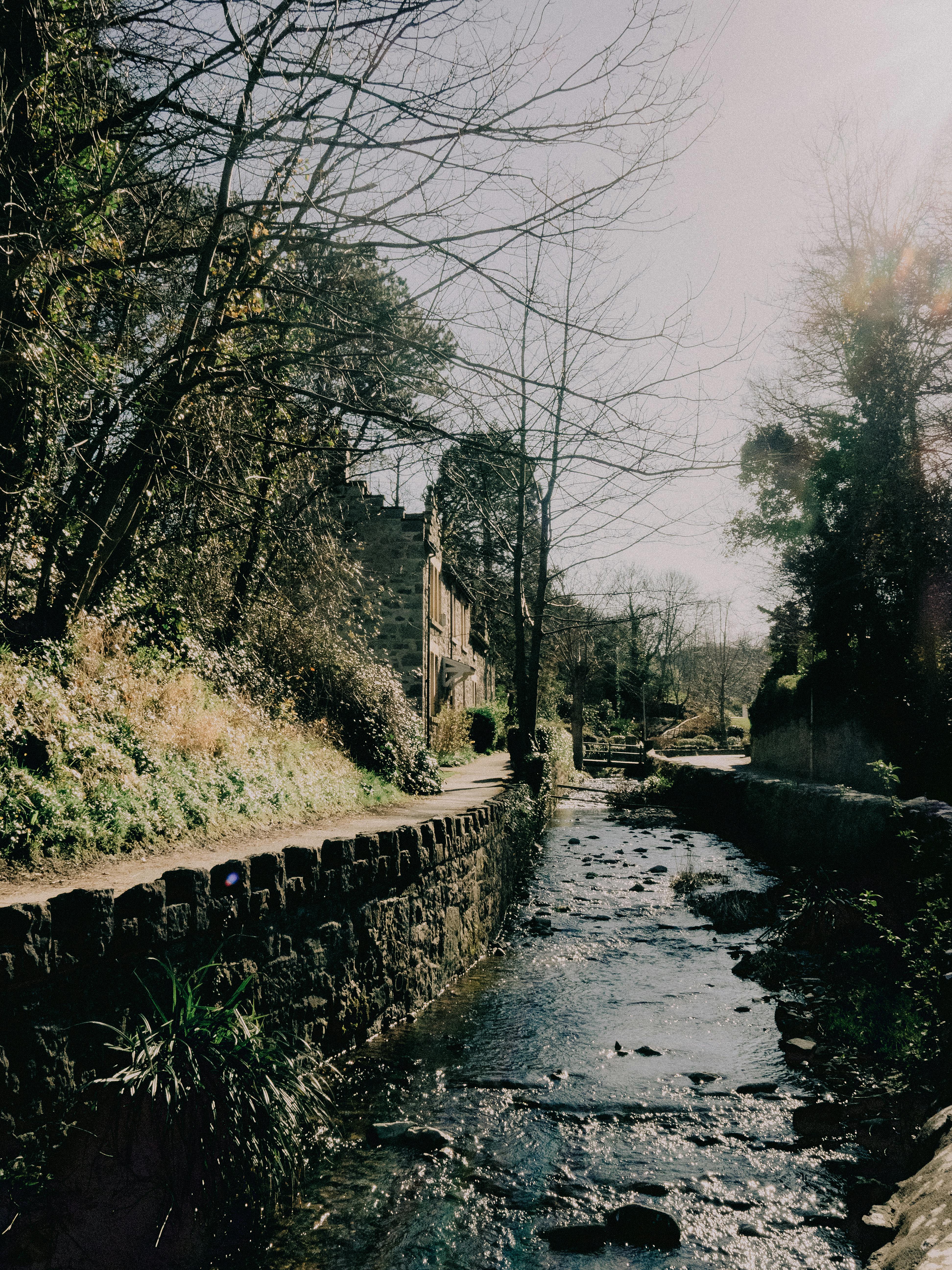 A peaceful river flows through a rural landscape, bathed in spring sunlight.