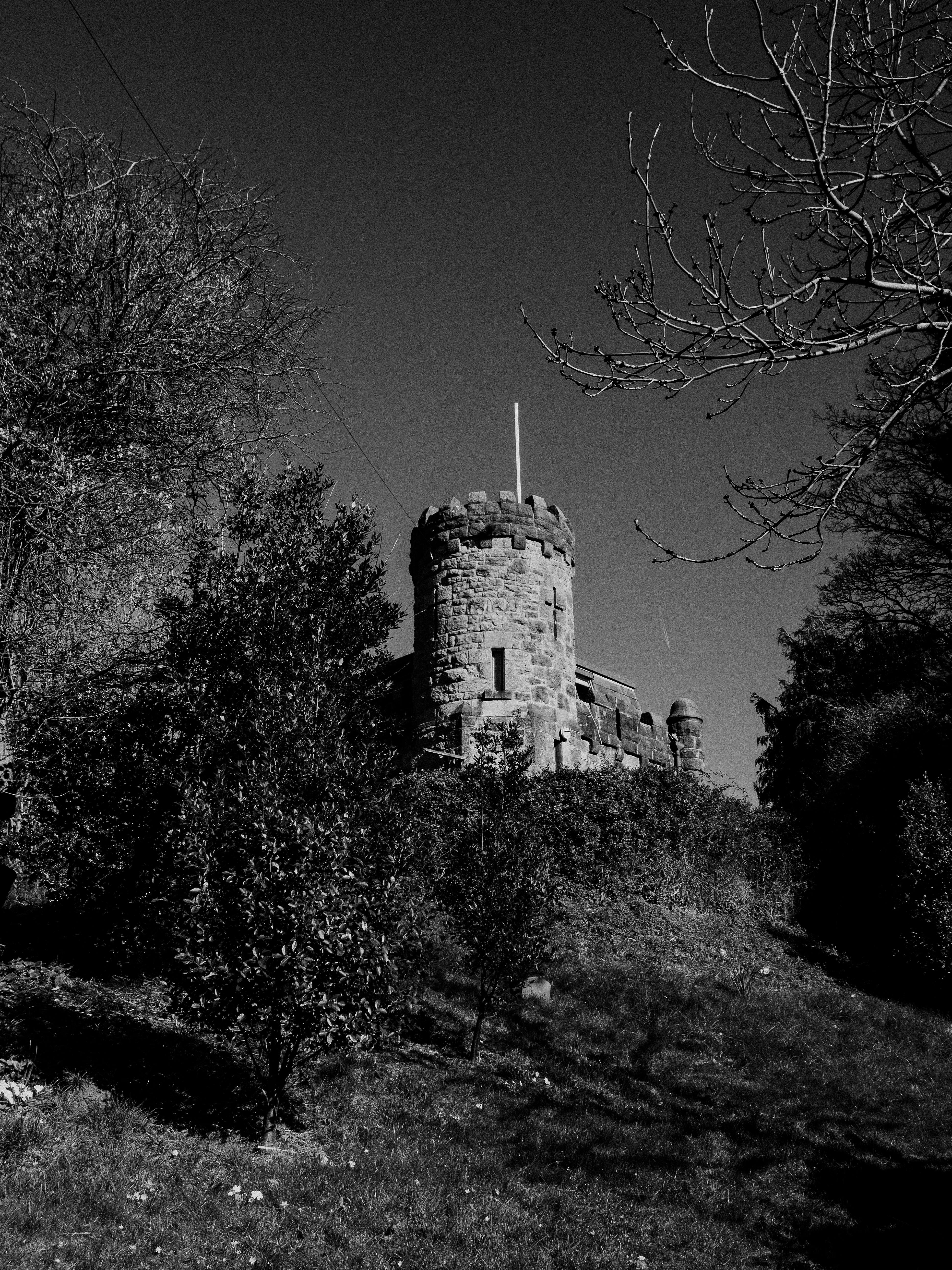 Black and white image of a medieval-style castle tower surrounded by dense foliage.