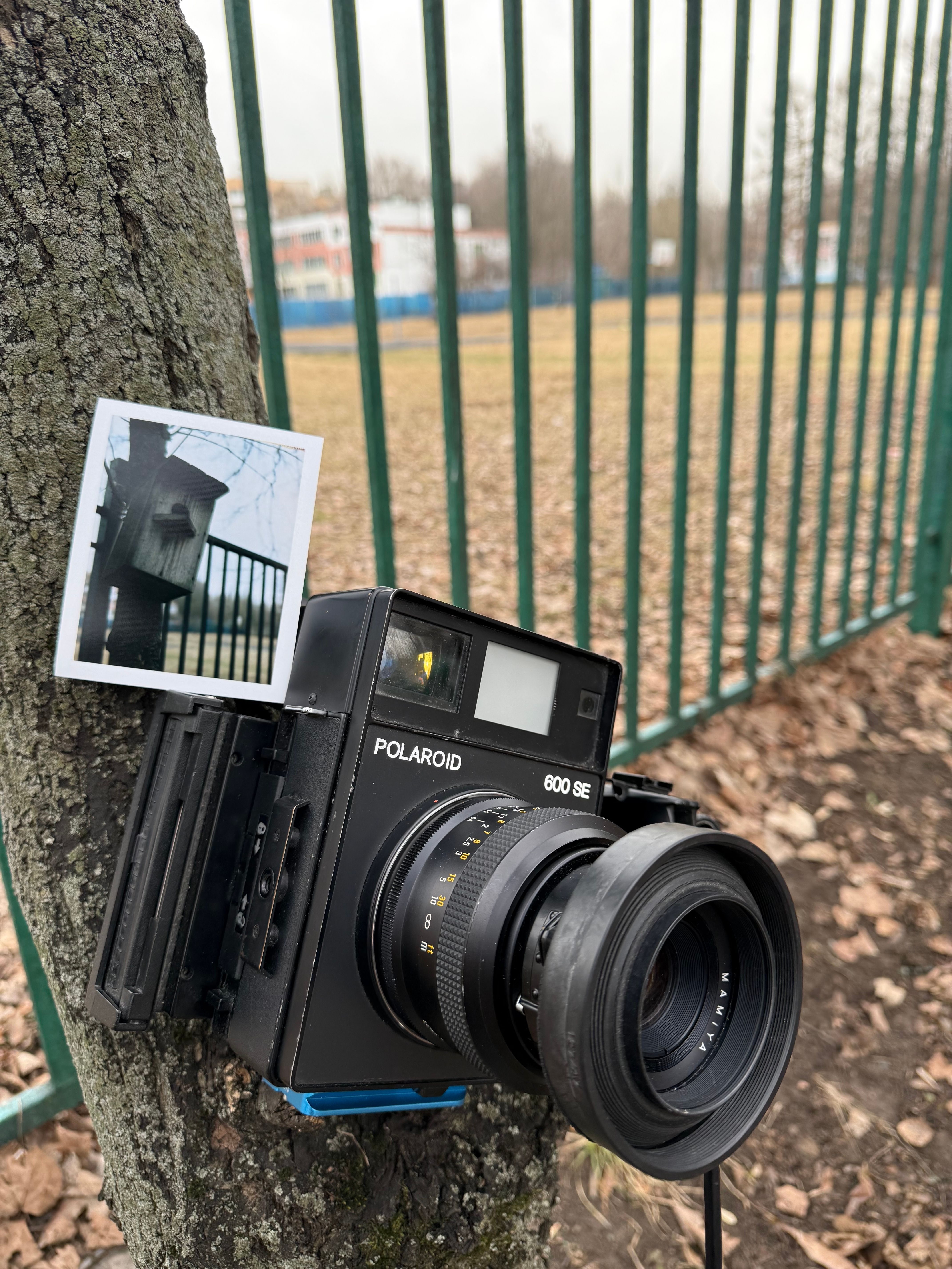 A vintage Polaroid 600 SE camera leaning against a tree, capturing a unique instant photo outdoors.