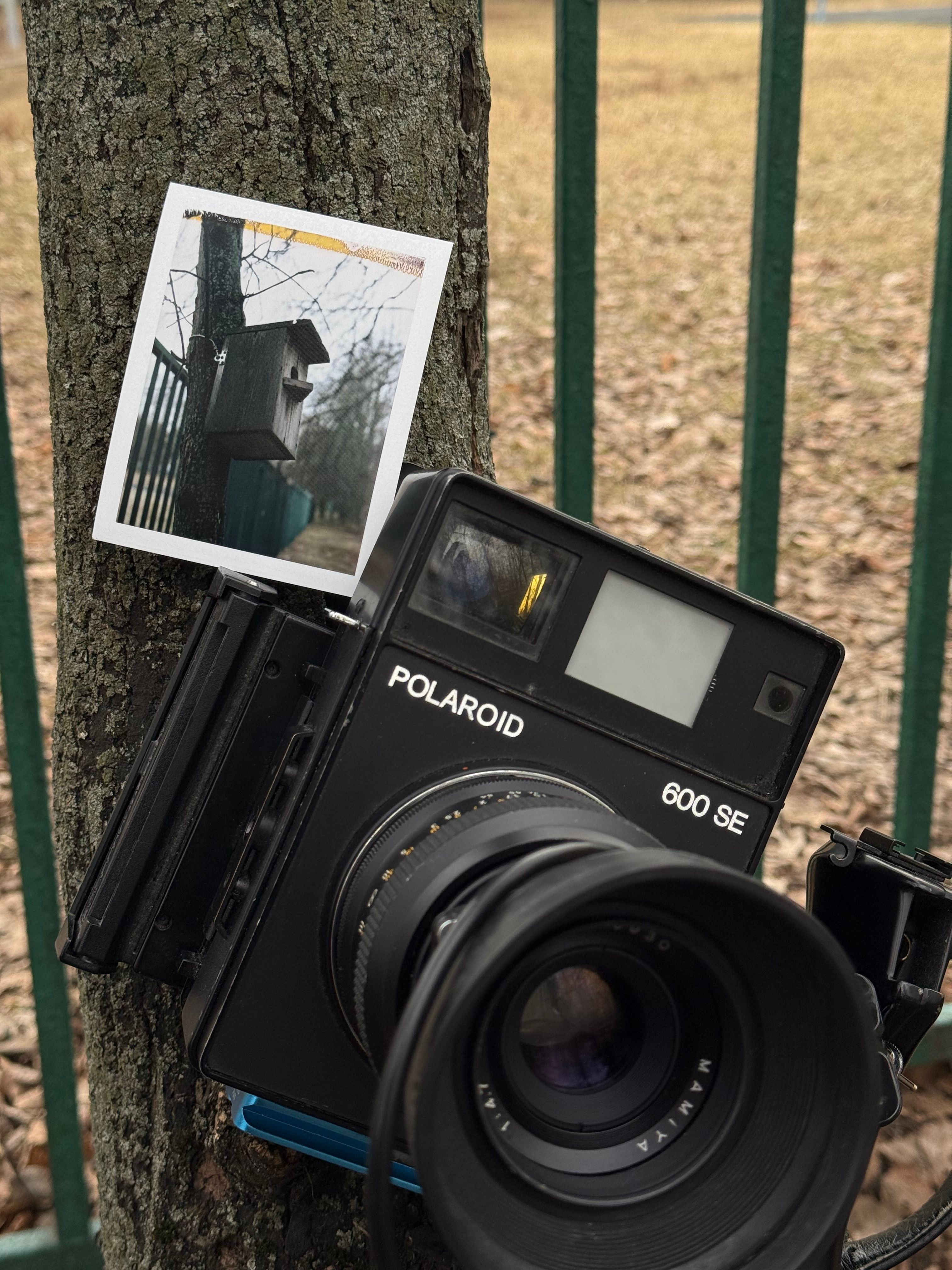 Vintage Polaroid -kamera kuvaamassa puista linnunpönttöä luonnossa.