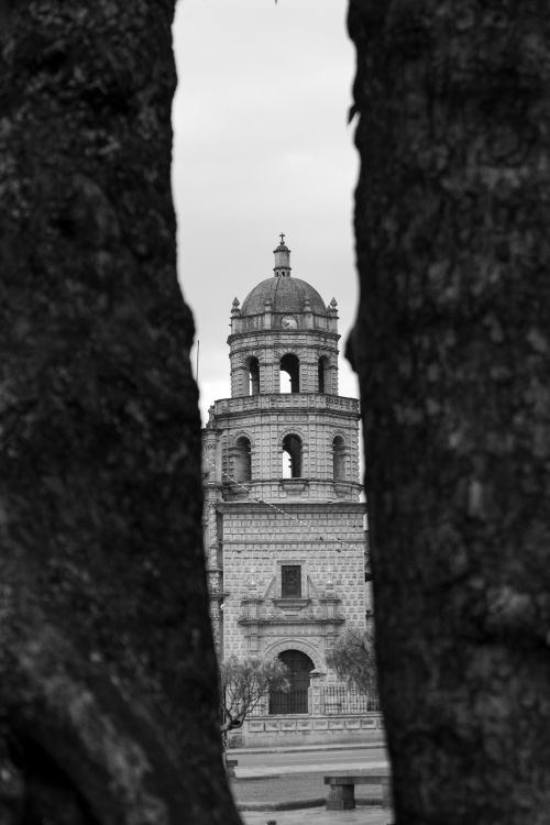 Free Black and white photo of a bell tower framed by trees in Cajamarca, showcasing architectural beauty. Stock Photo