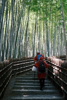 Two people hiking through the scenic bamboo grove in Kyoto, Japan, surrounded by towering bamboo stalks.