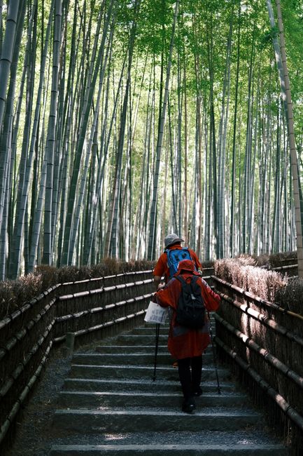 Two people hiking through the scenic bamboo grove in Kyoto, Japan, surrounded by towering bamboo stalks.
