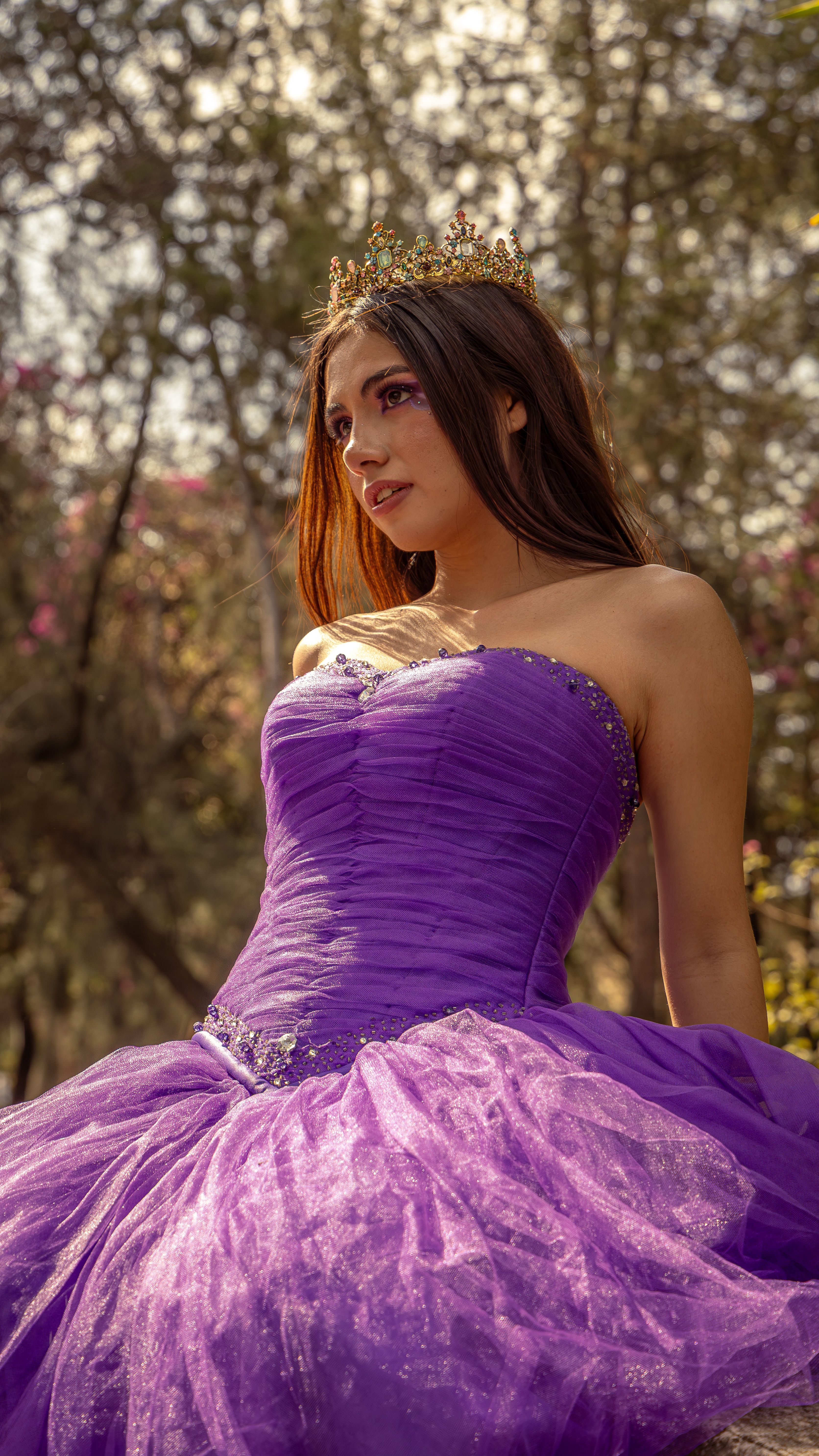 Elegant Woman in Purple Gown with Tiara Outdoors · Free Stock Photo