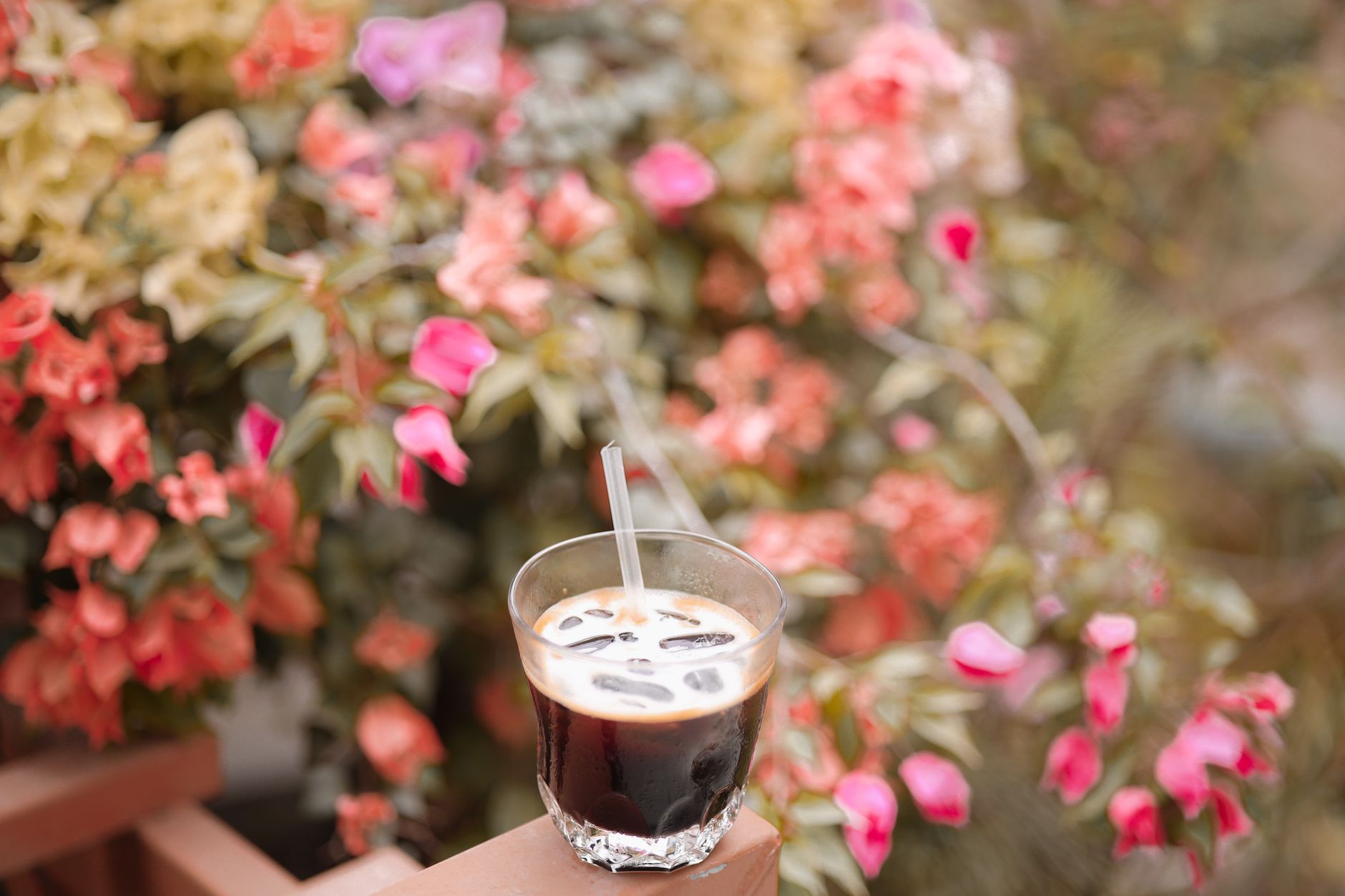 A glass of iced coffee on a railing set against colorful blooming flowers.