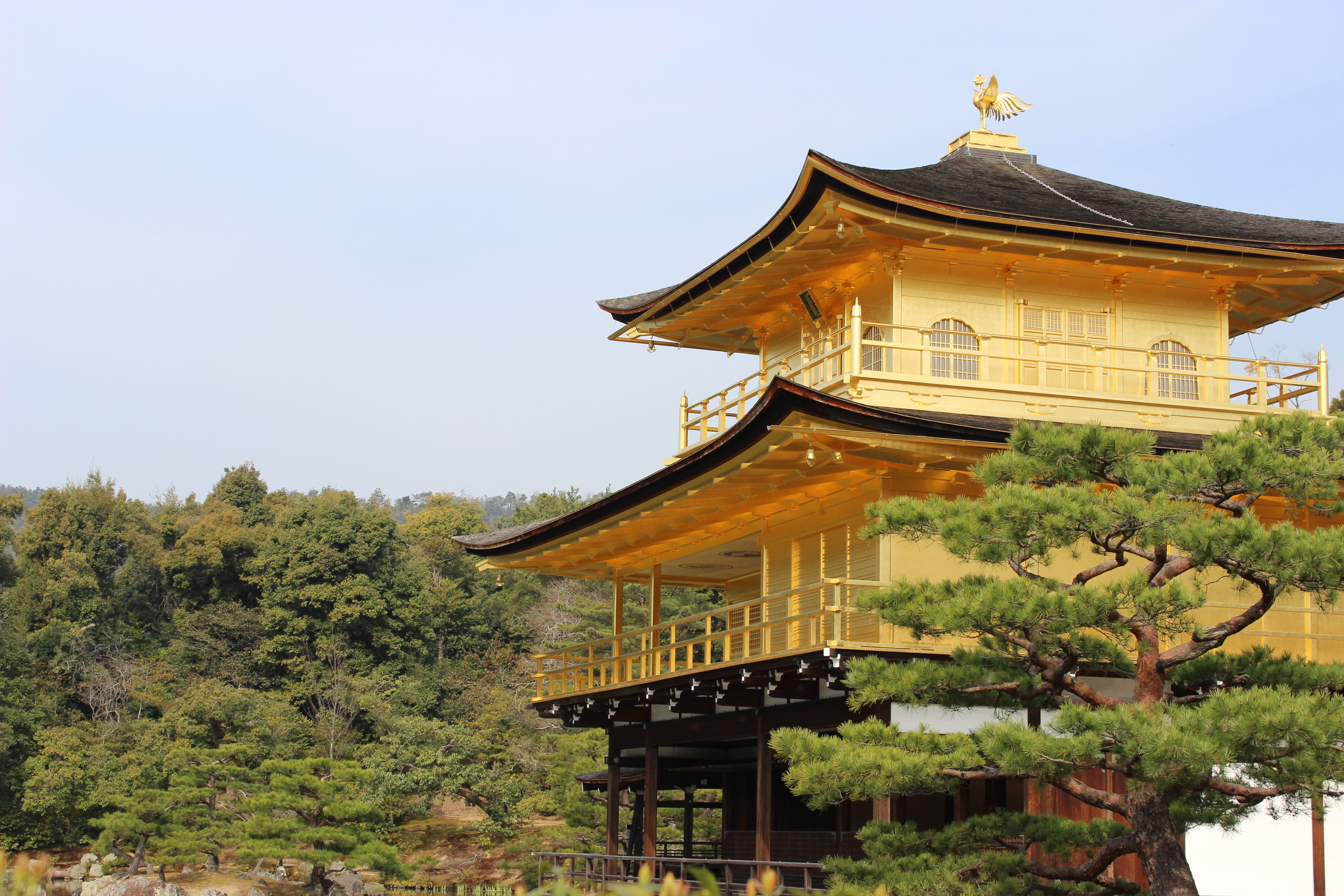 Golden Pavilion Kinkaku-ji among lush gardens in Kyoto, Japan, showcasing beautiful Japanese architecture.