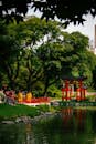Scenic Japanese Garden with Red Torii Gate