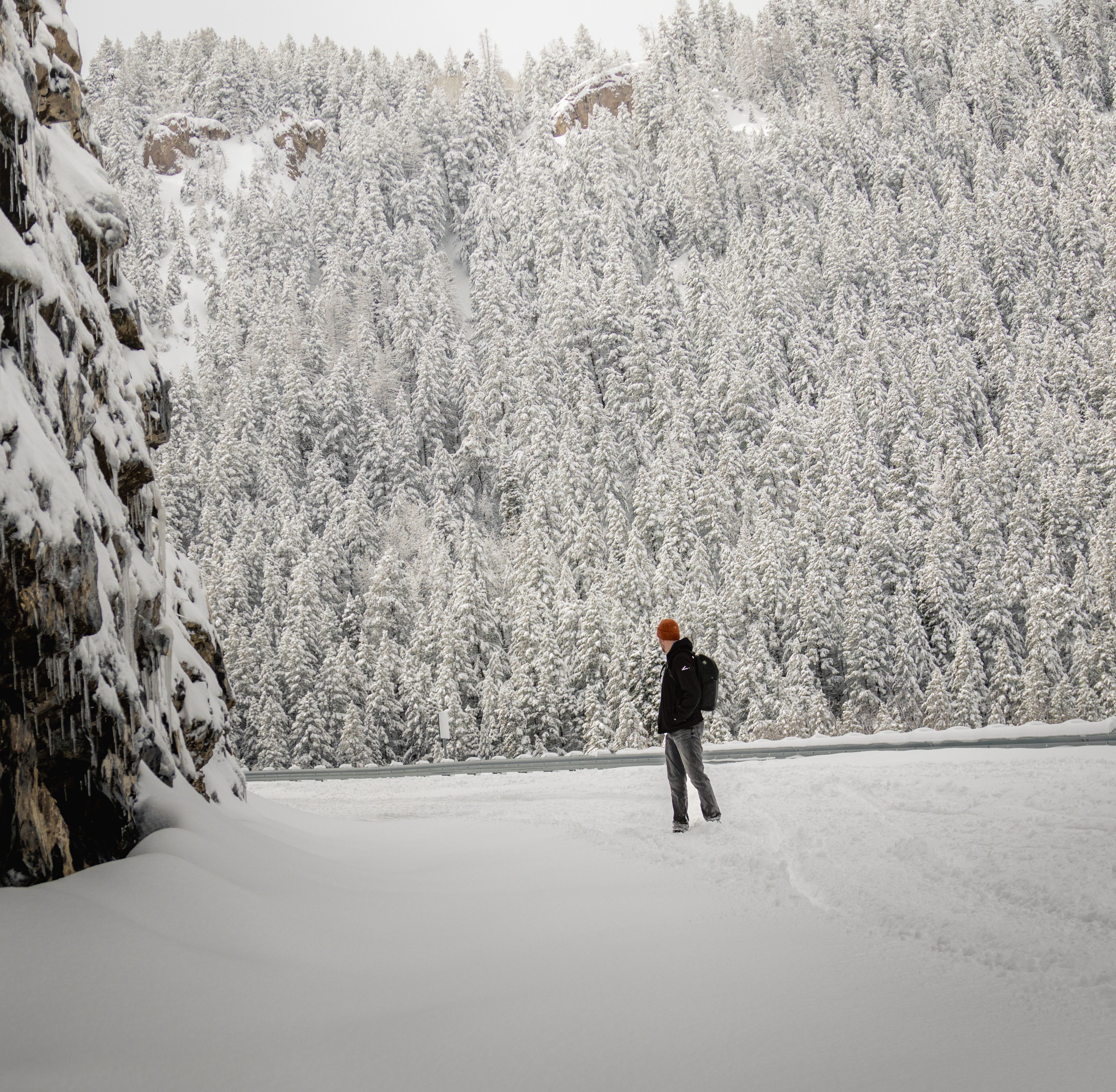 Trew Gear Cosmic Primo Review — Photo by Matthew Harmon on Pexels