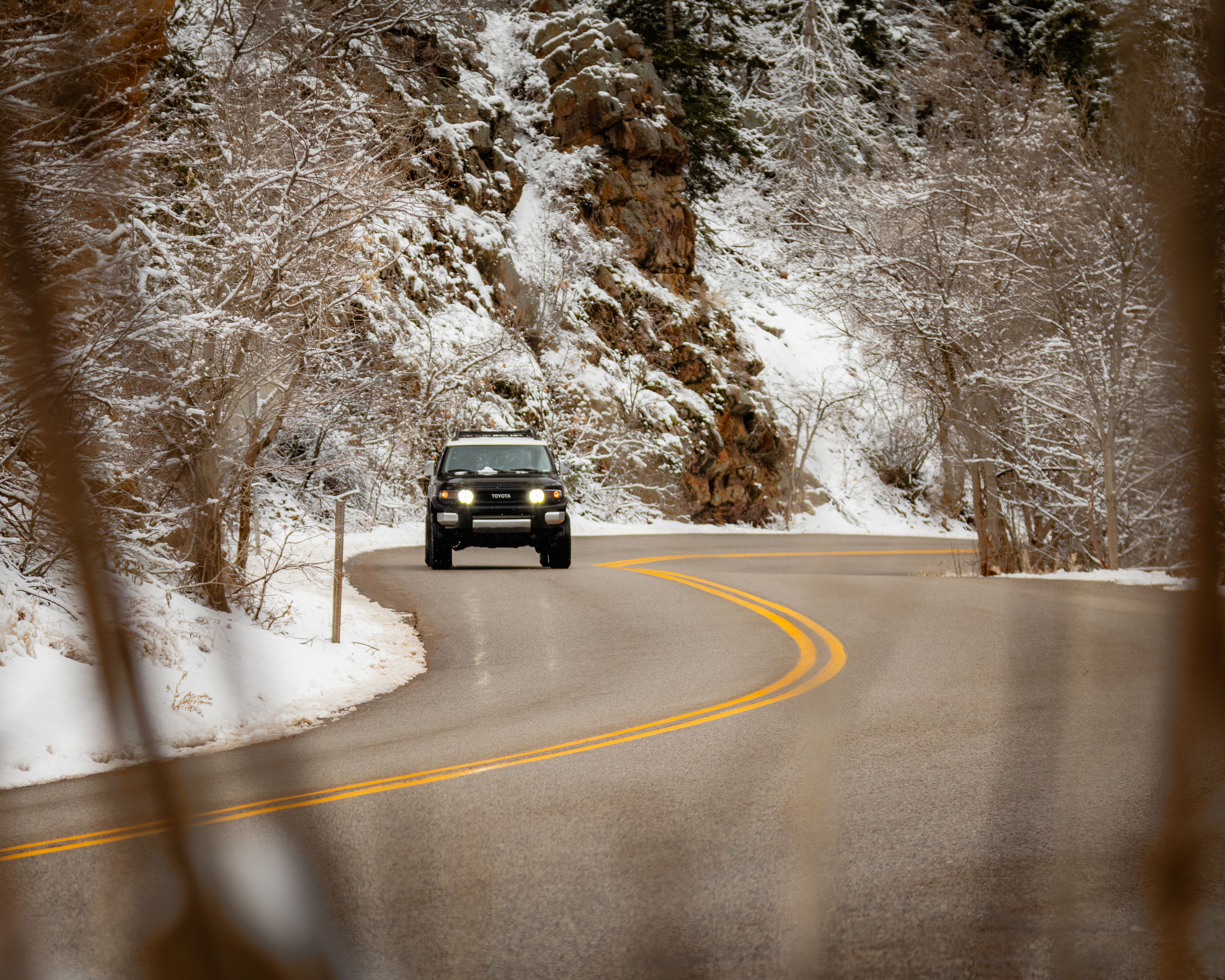 safety recalls toyota safety recalls check — Photo by Matthew Harmon on Pexels