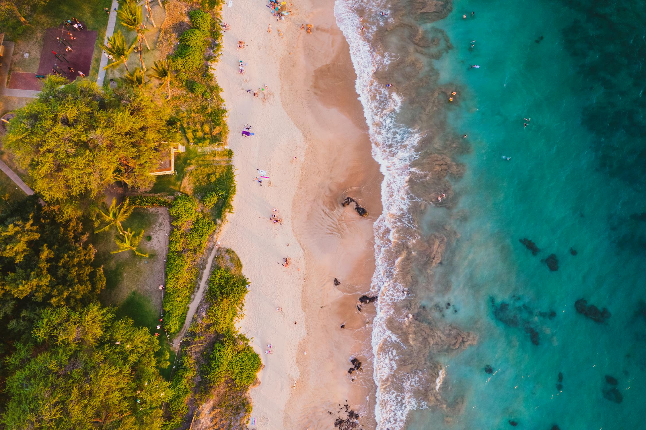 free photo of aerial view of tropical beach in maui hawaii
