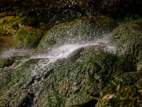 Free A vibrant waterfall cascading over moss-covered rocks, showcasing nature's raw beauty. Stock Photo