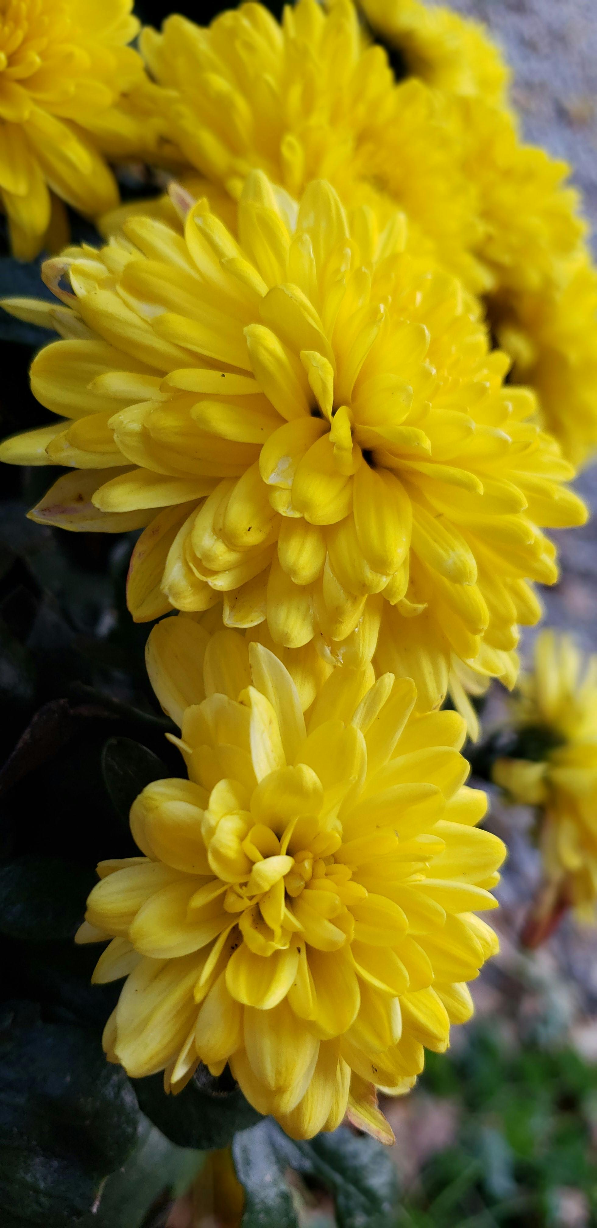 difference-between-265-and-285-tires-difference