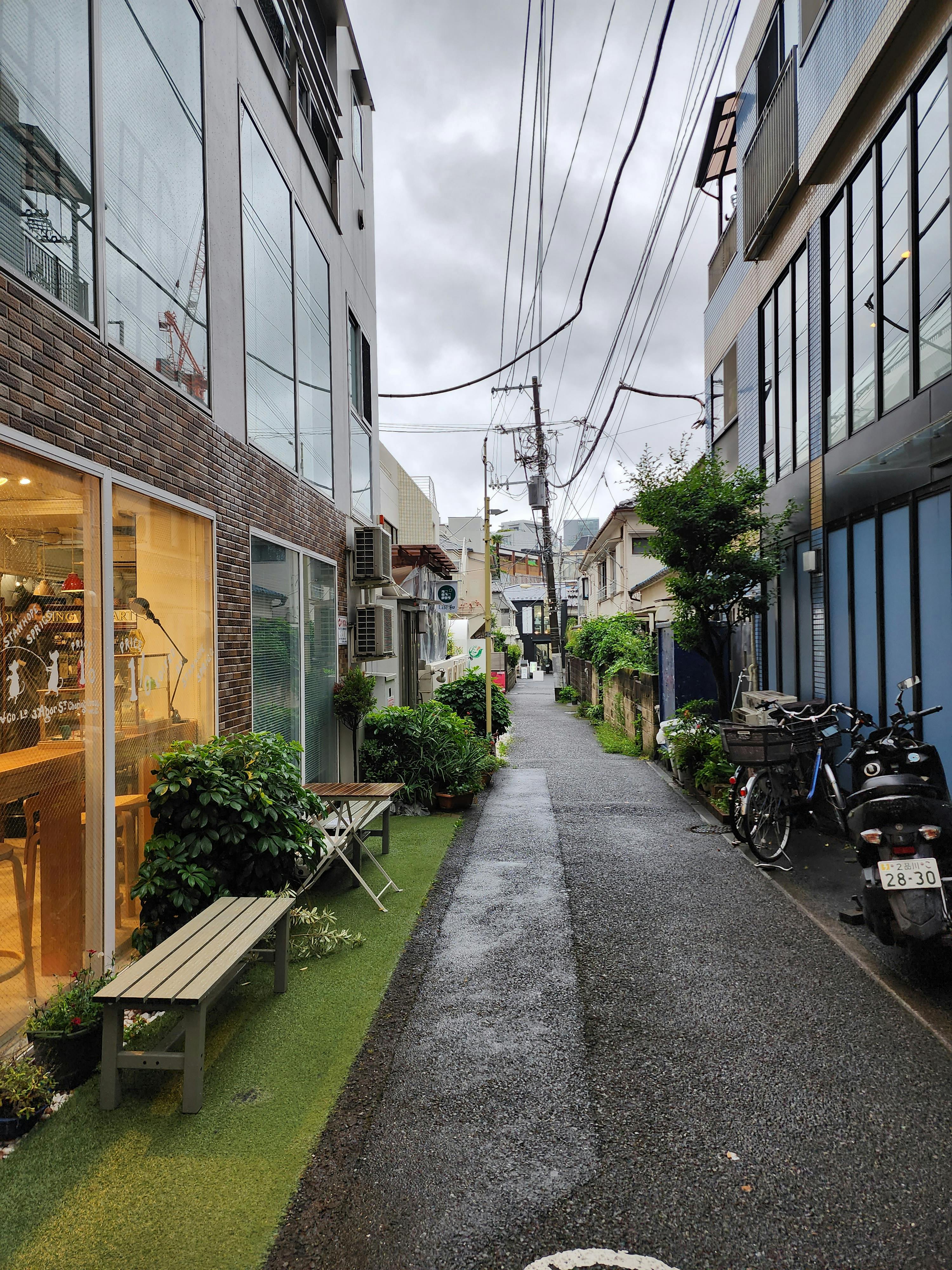 Explore a picturesque Tokyo laneway on a rainy day, lined with greenery and urban charm.