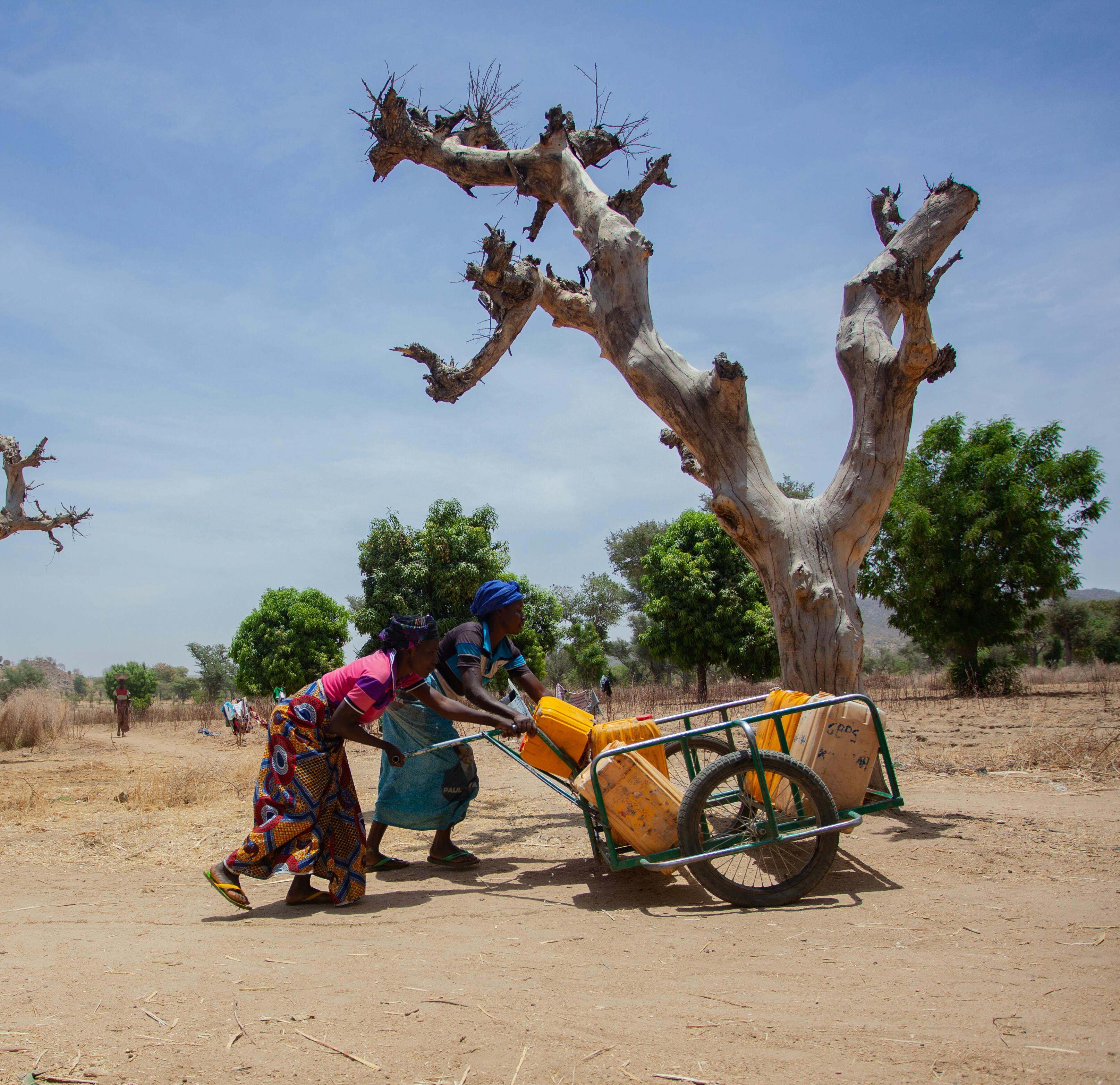 Bridging Africa’s health financing gap: The case for remittance-based insurance — Photo by Zedou Njankouo on Pexels