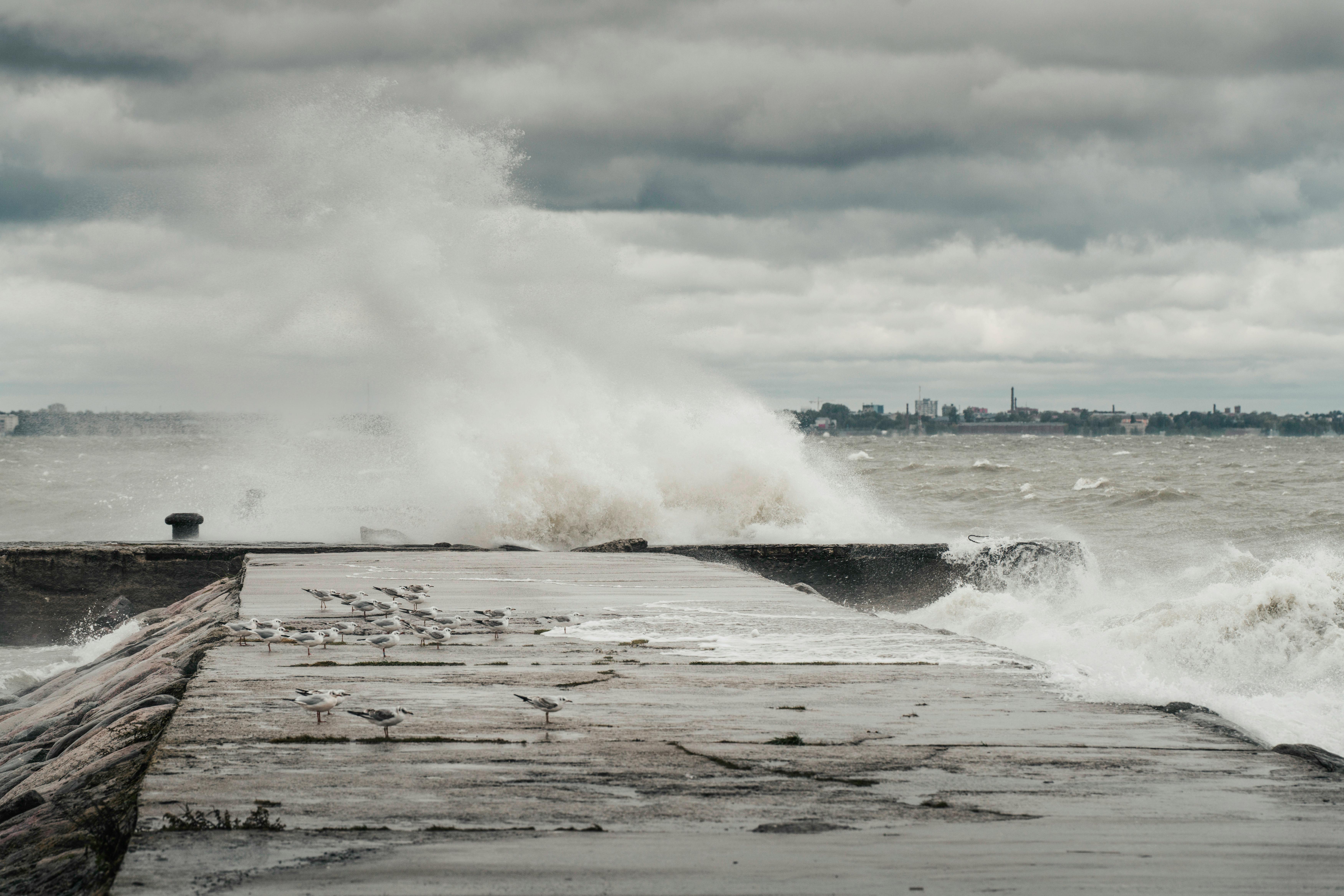 climate resilience, sea level rise, drought mitigation, ecosystem restoration, climate policy, Climate adaptation — Photo by 