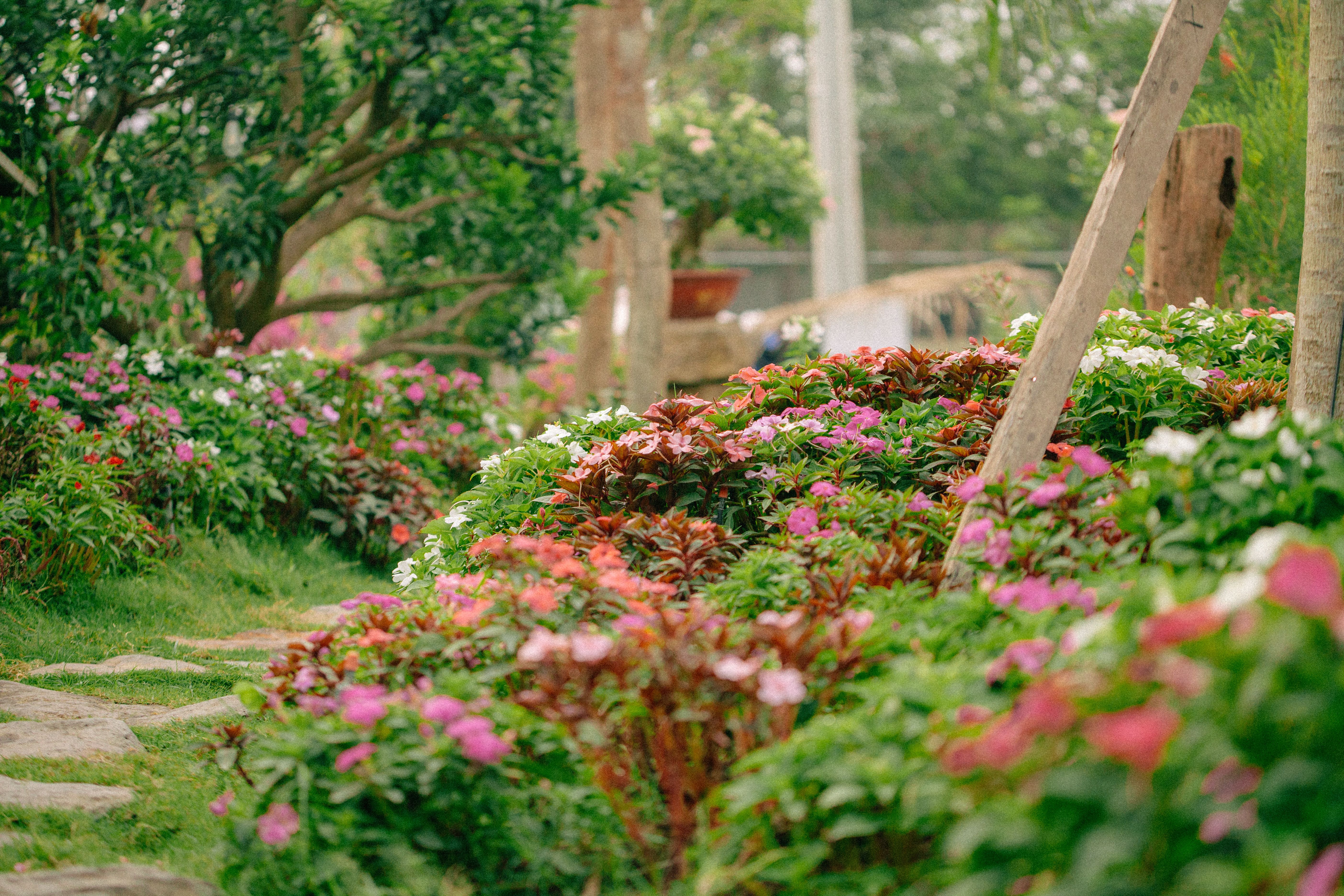 Les bases du design de jardin selon les principes du New Perennial Movement