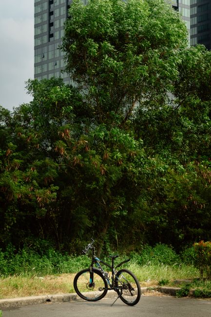 A solitary bicycle resting in urban greenery, near modern skyscrapers.