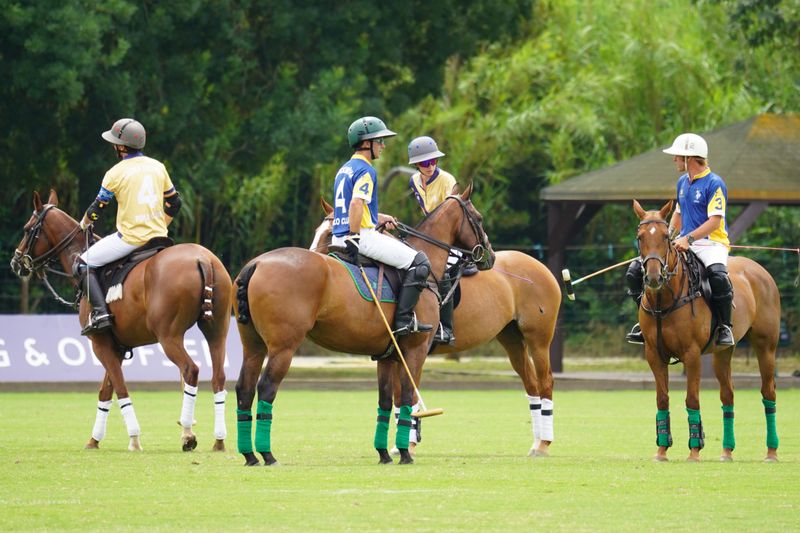 Polo match players on horseback in action on green field
