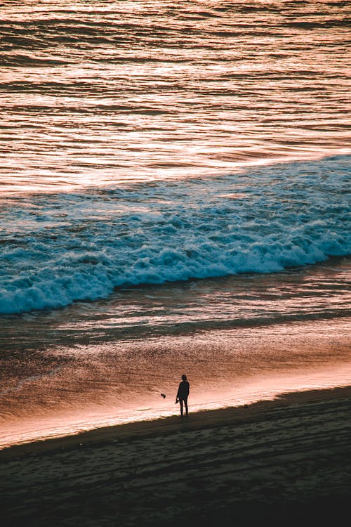 Person Standing On The Shore