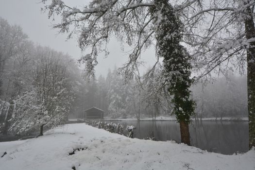 A serene winter scene featuring a snow-covered pond and trees.