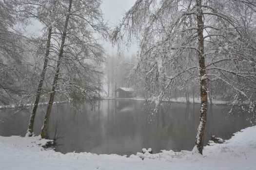 A serene snowy landscape in Nouvelle-Aquitaine, France, showcasing a peaceful winter pond.
