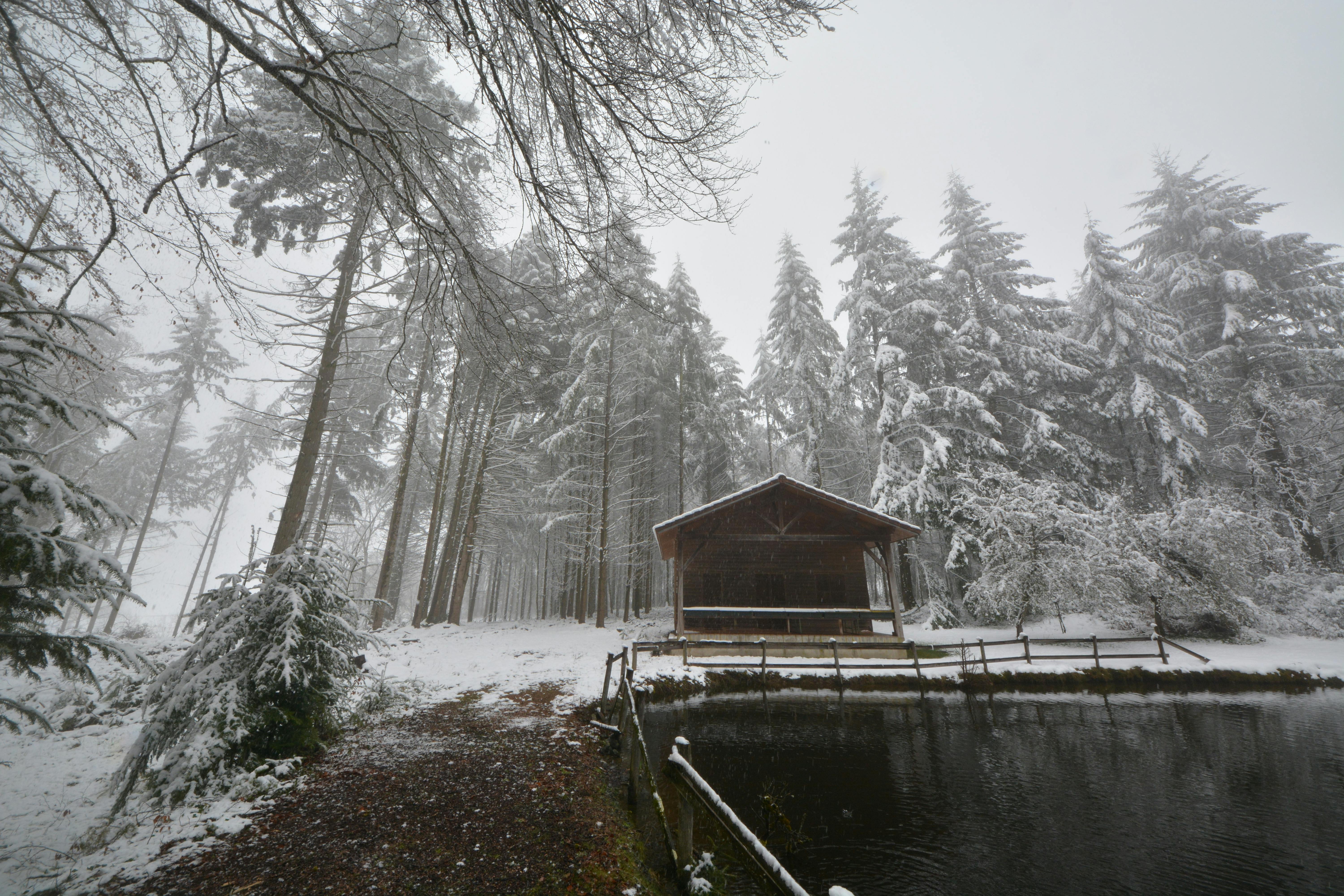 Tranquil winter scene of a snow-blanketed forest cabin by a pond in Nouvelle-Aquitaine, France.