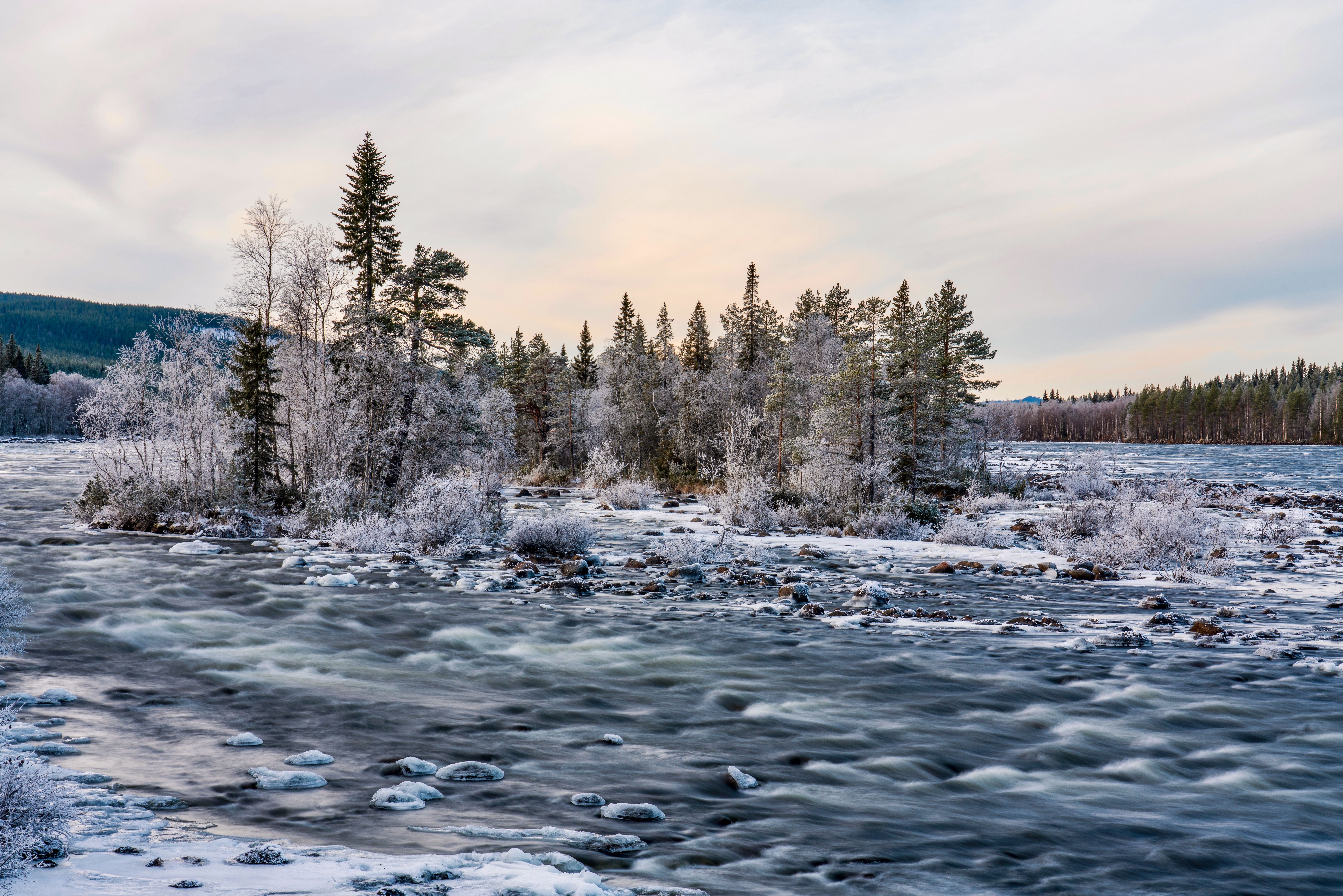 Serene Winter River Landscape with Frosted Trees · Free Stock Photo