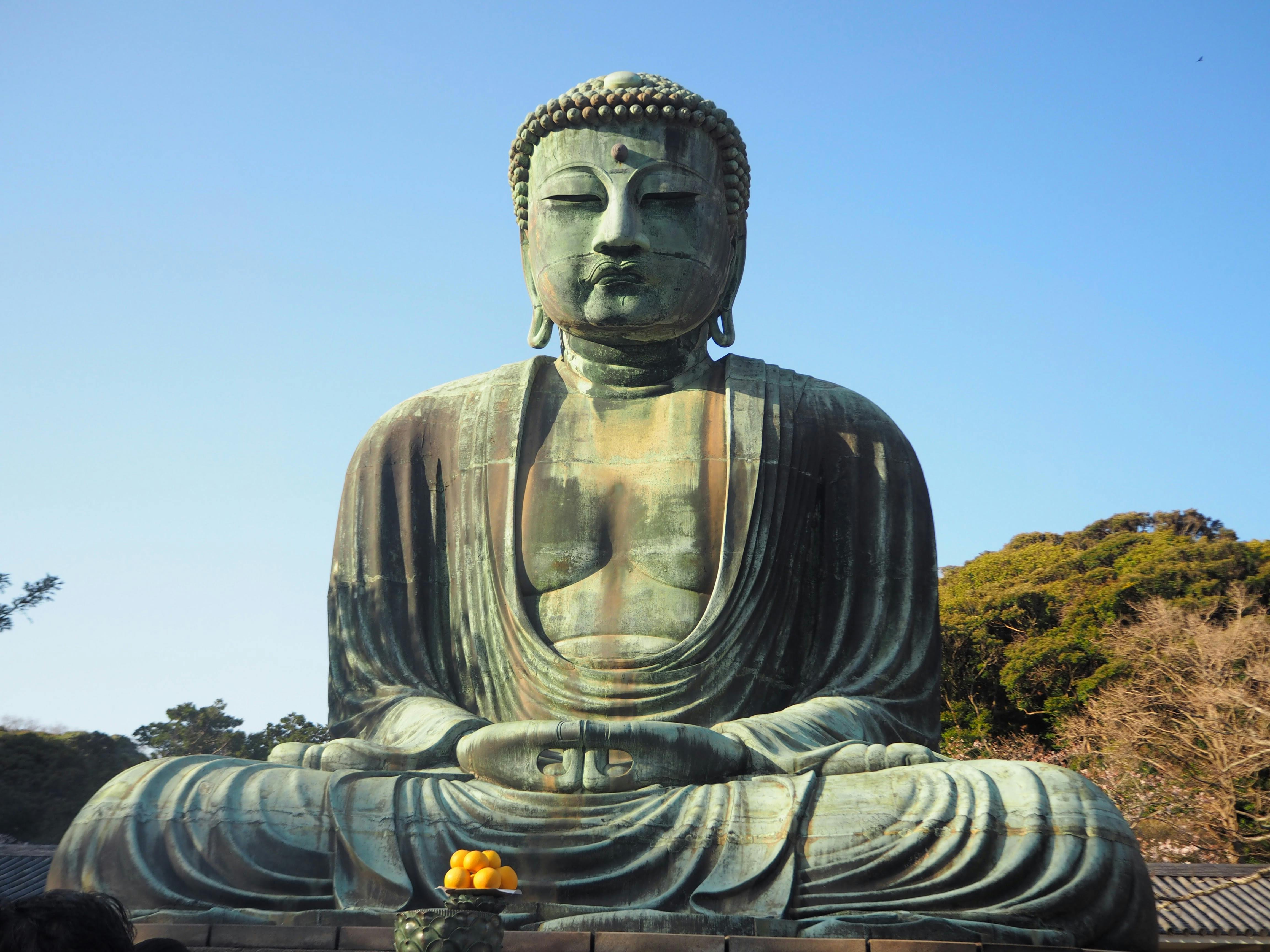 Buddhism Meditation.Txt