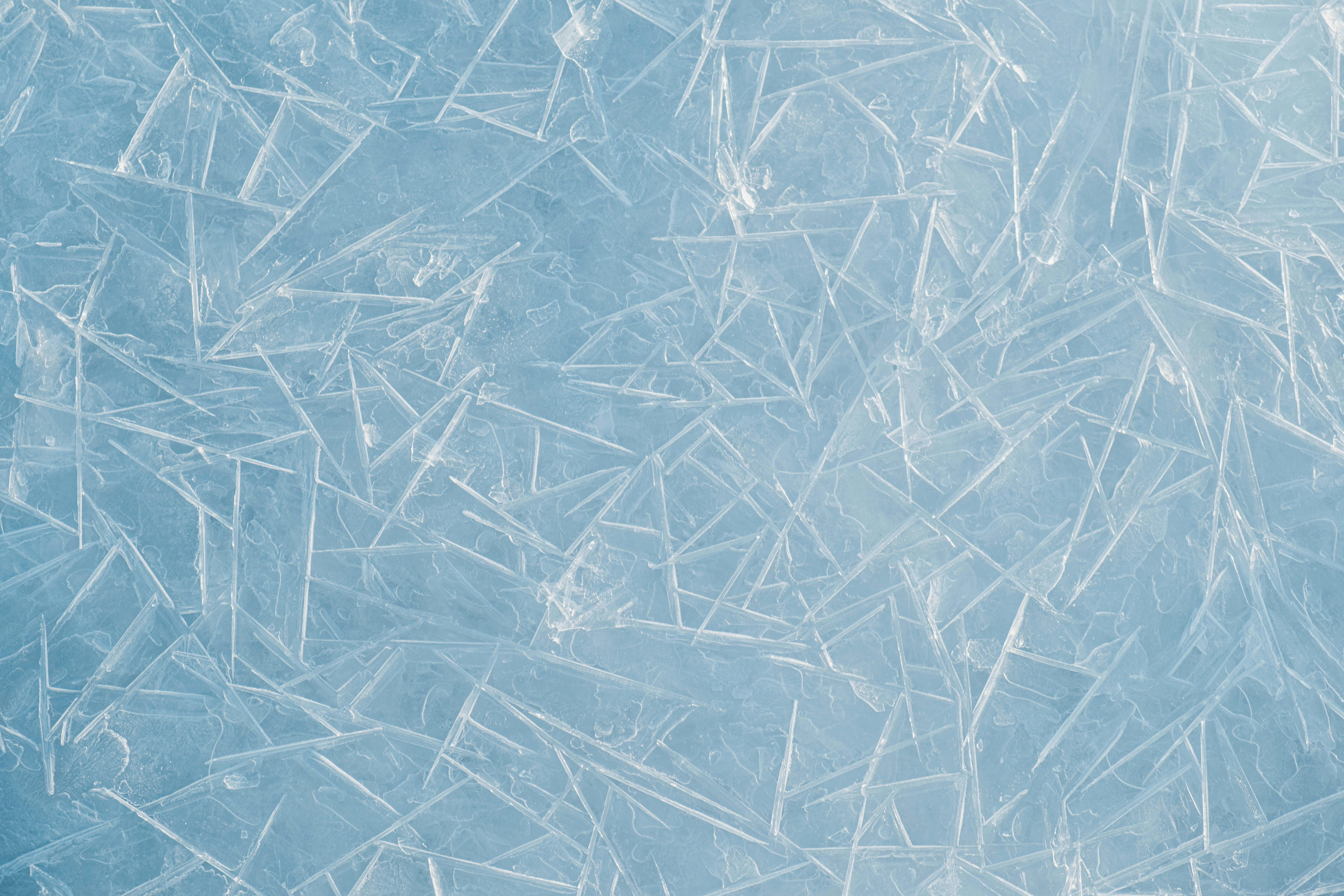 ICE Is Crashing the US Court System in Minnesota — Photo by Jo Kassis on Pexels