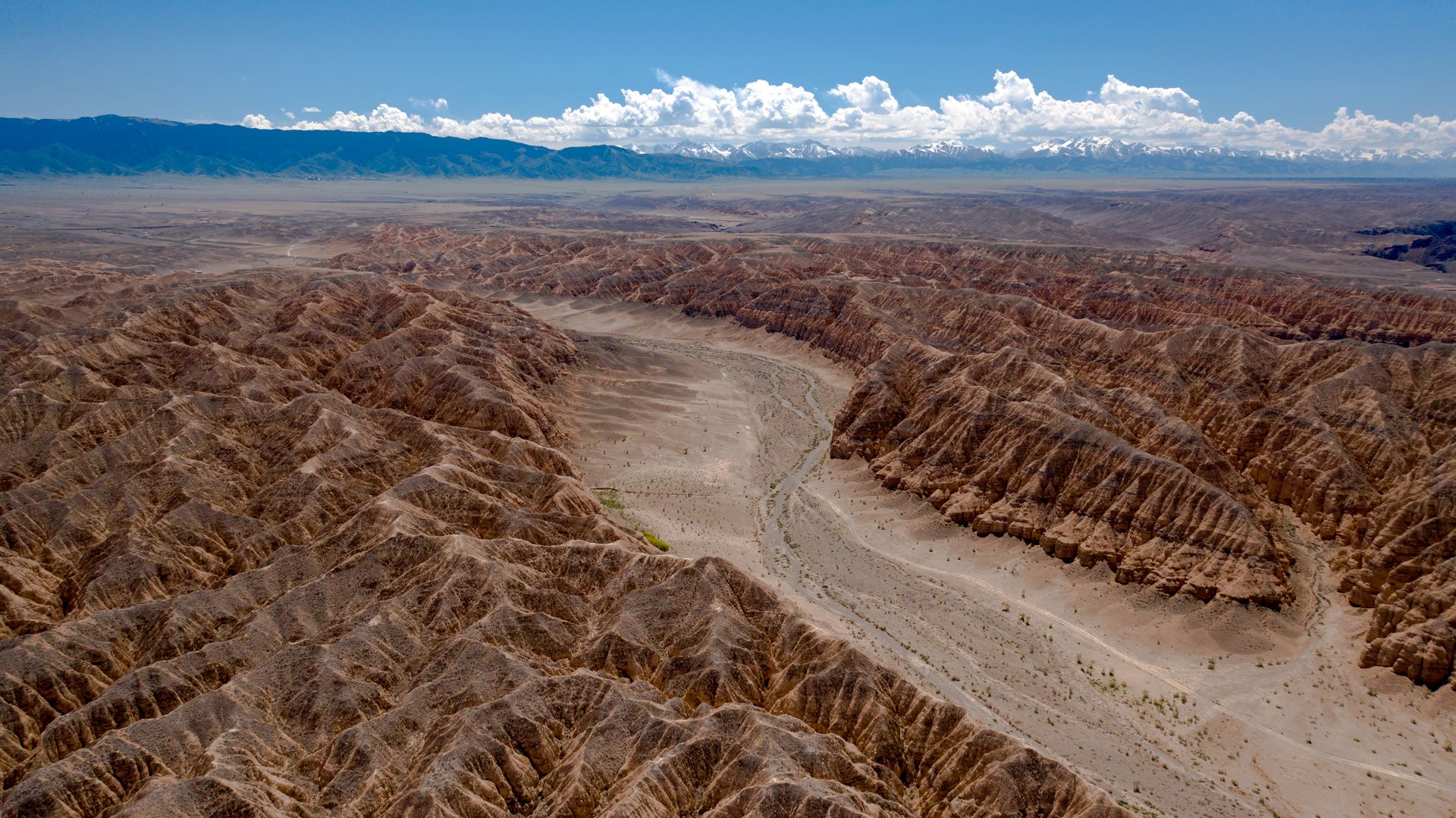 Breathtaking aerial view of a dramatic canyon landscape in Kazakhstan with rugged rock formations under a clear blue sky.