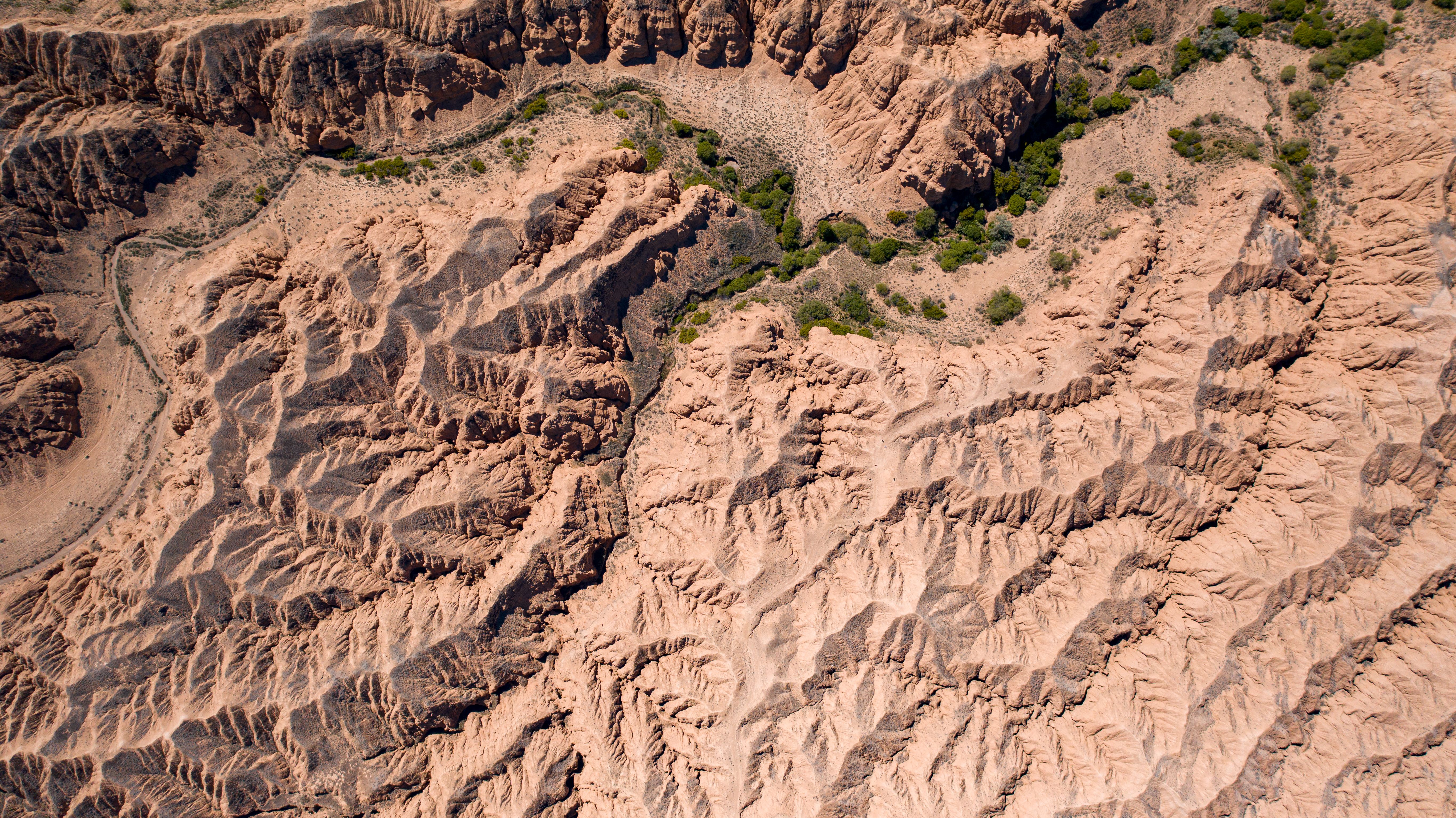 Arid interior basin research
