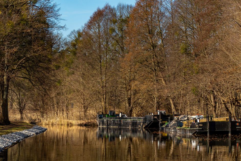 Construction barges on a canal surrounded by bare trees in early spring.