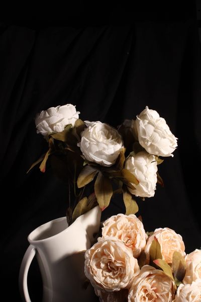 Pale roses lit against a black studio backdrop, by Lou Apers on Pexels